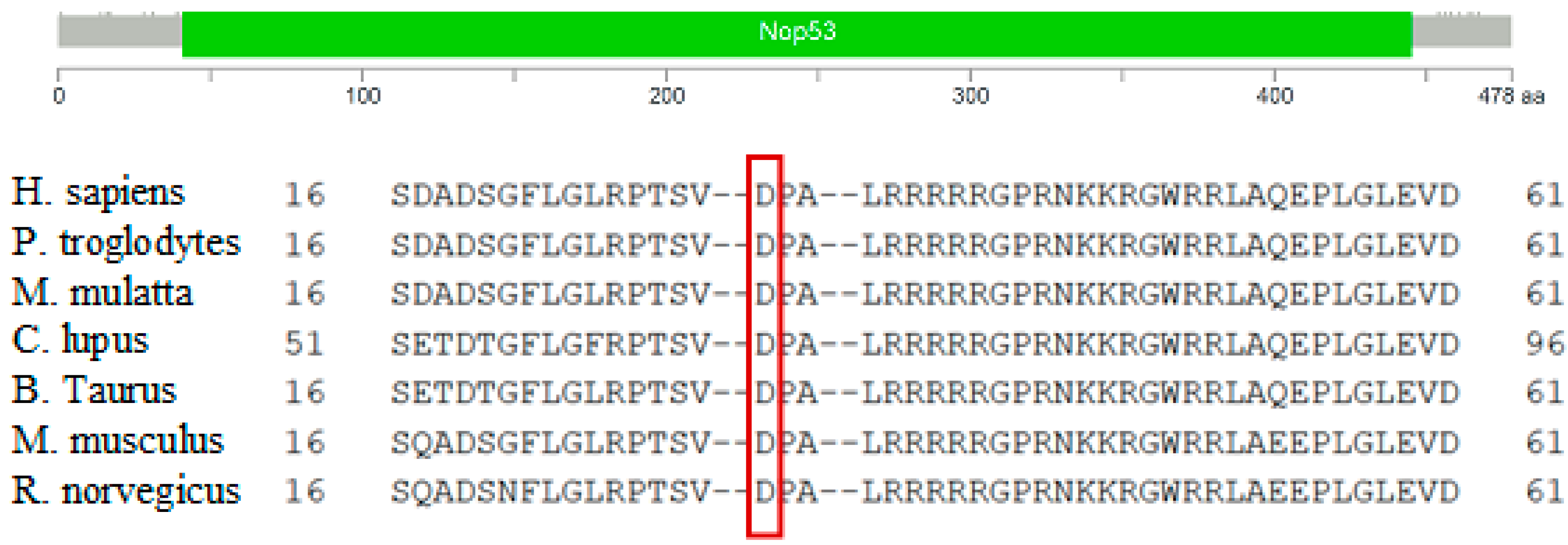 Genes 10 00899 g003