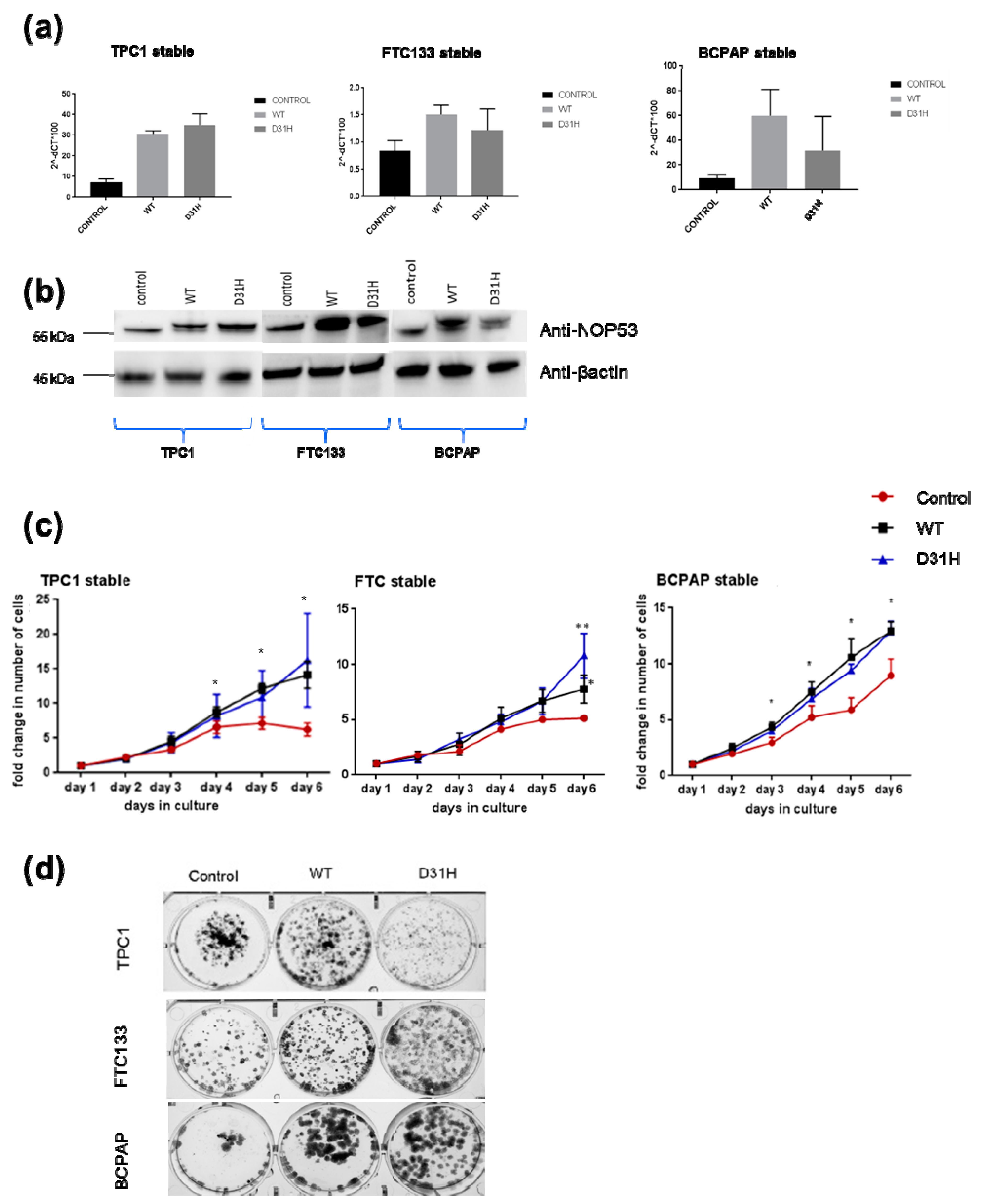Genes 10 00899 g005