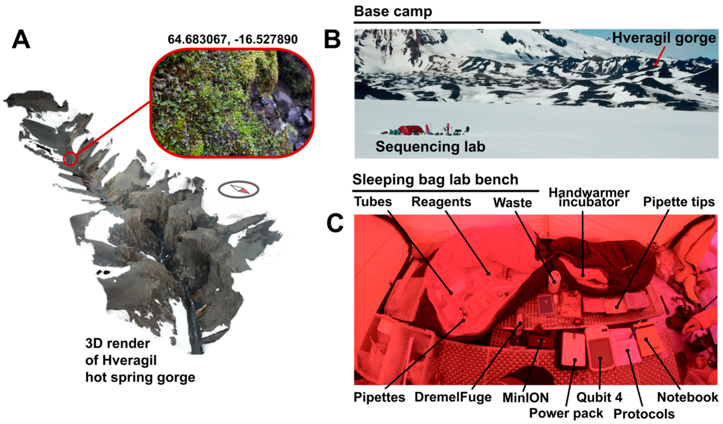 Genes 10 00902 g002