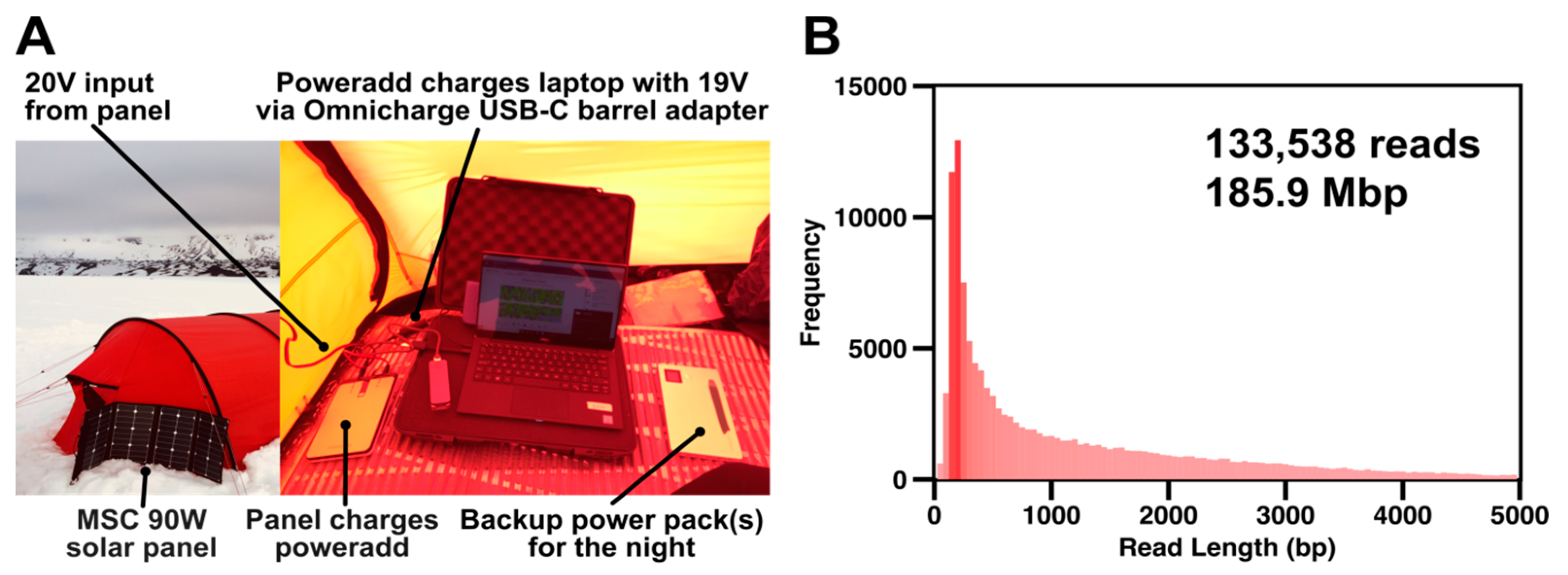 Genes 10 00902 g003