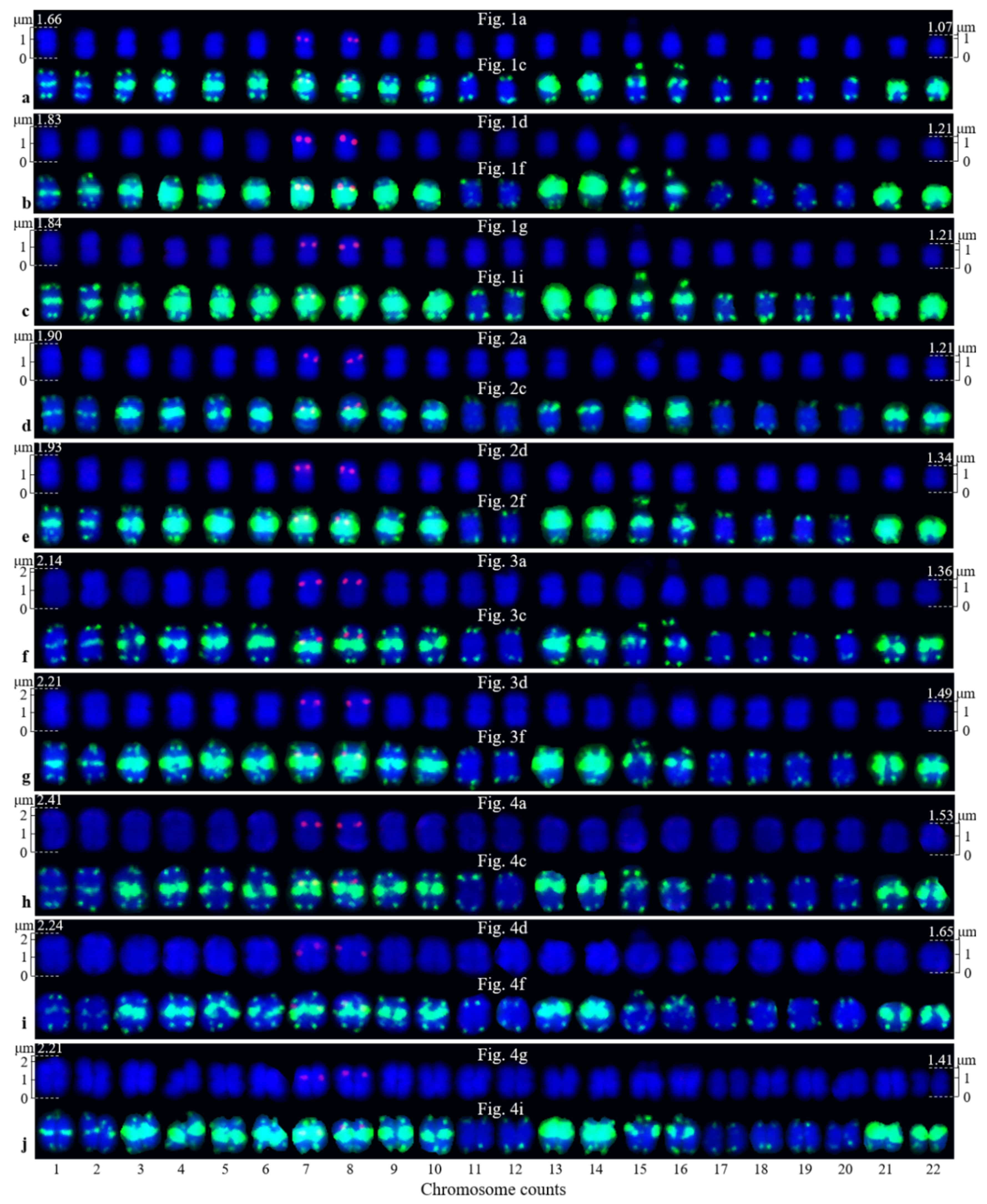 Genes 10 00904 g005
