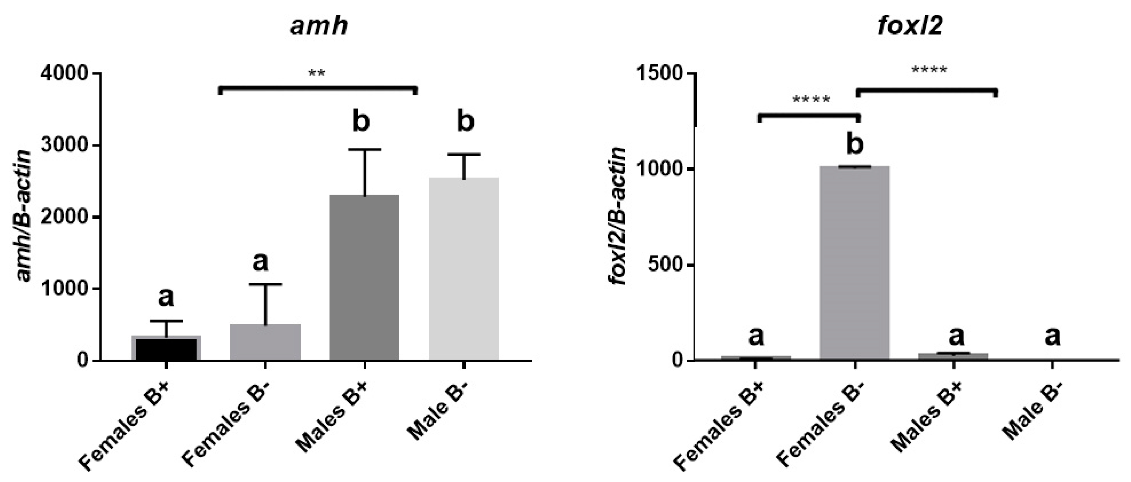 Genes 10 00909 g002