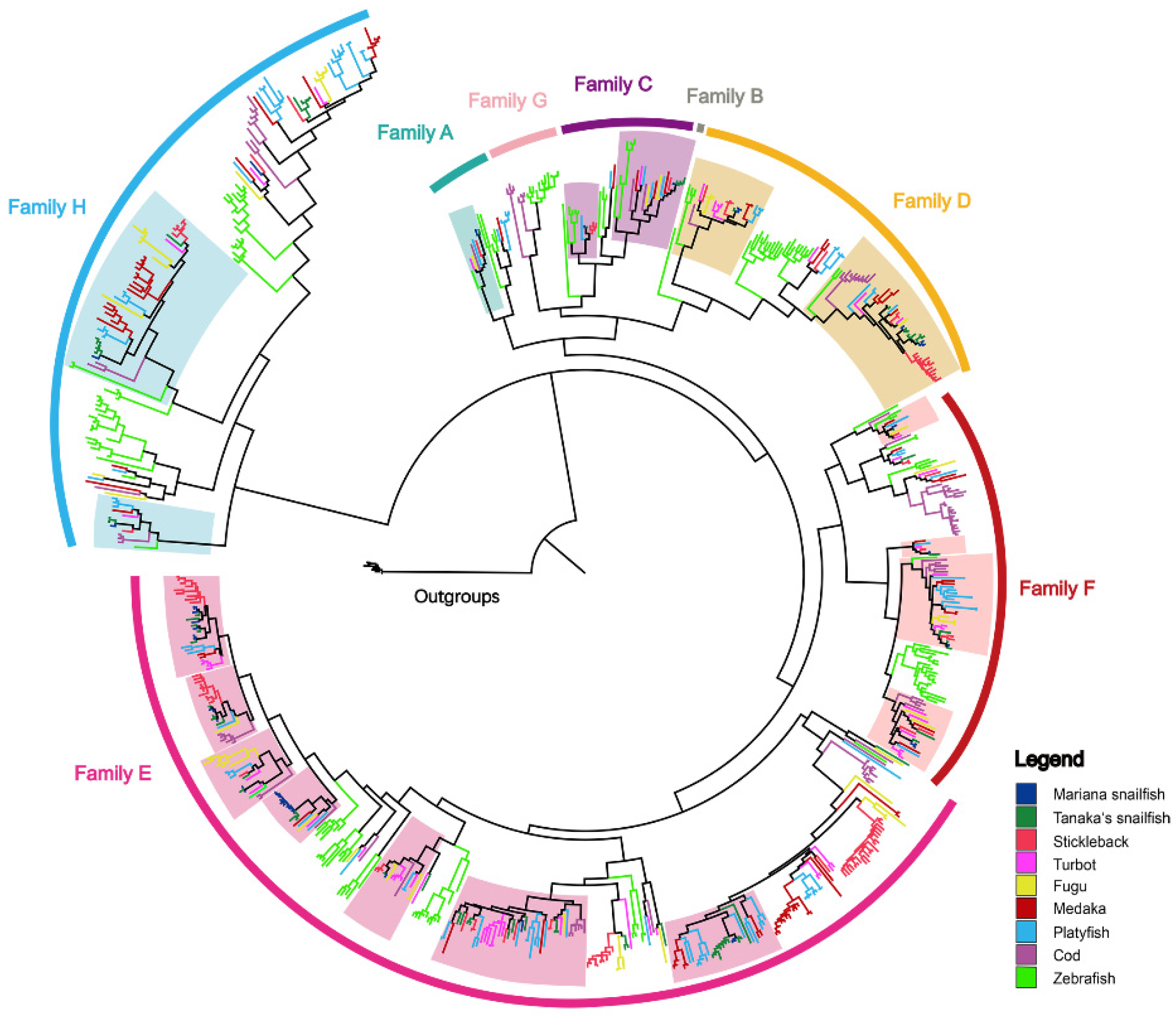 Genes 10 00910 g002 Genes 10 00910 g002
