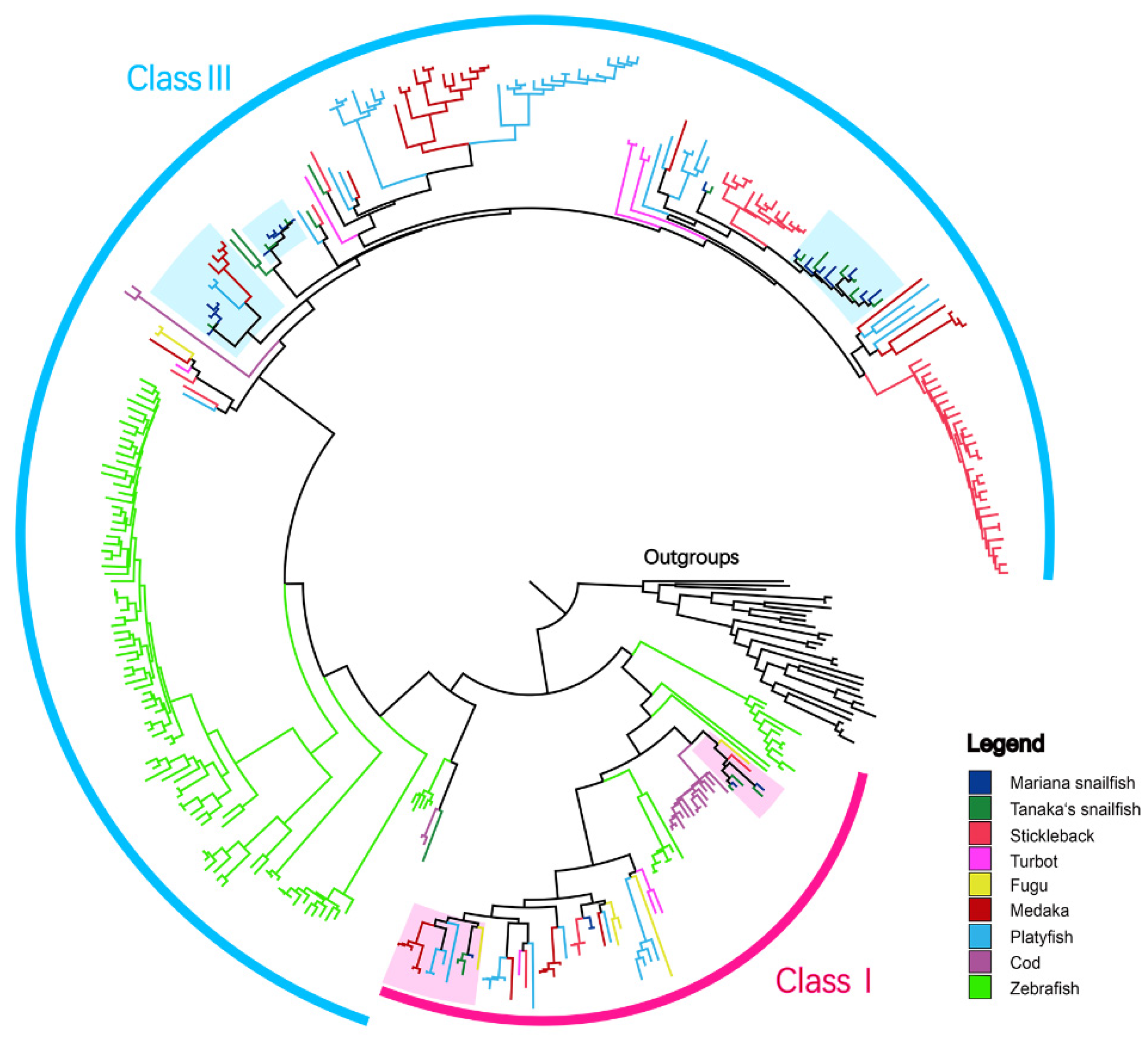 Genes 10 00910 g004 Genes 10 00910 g004