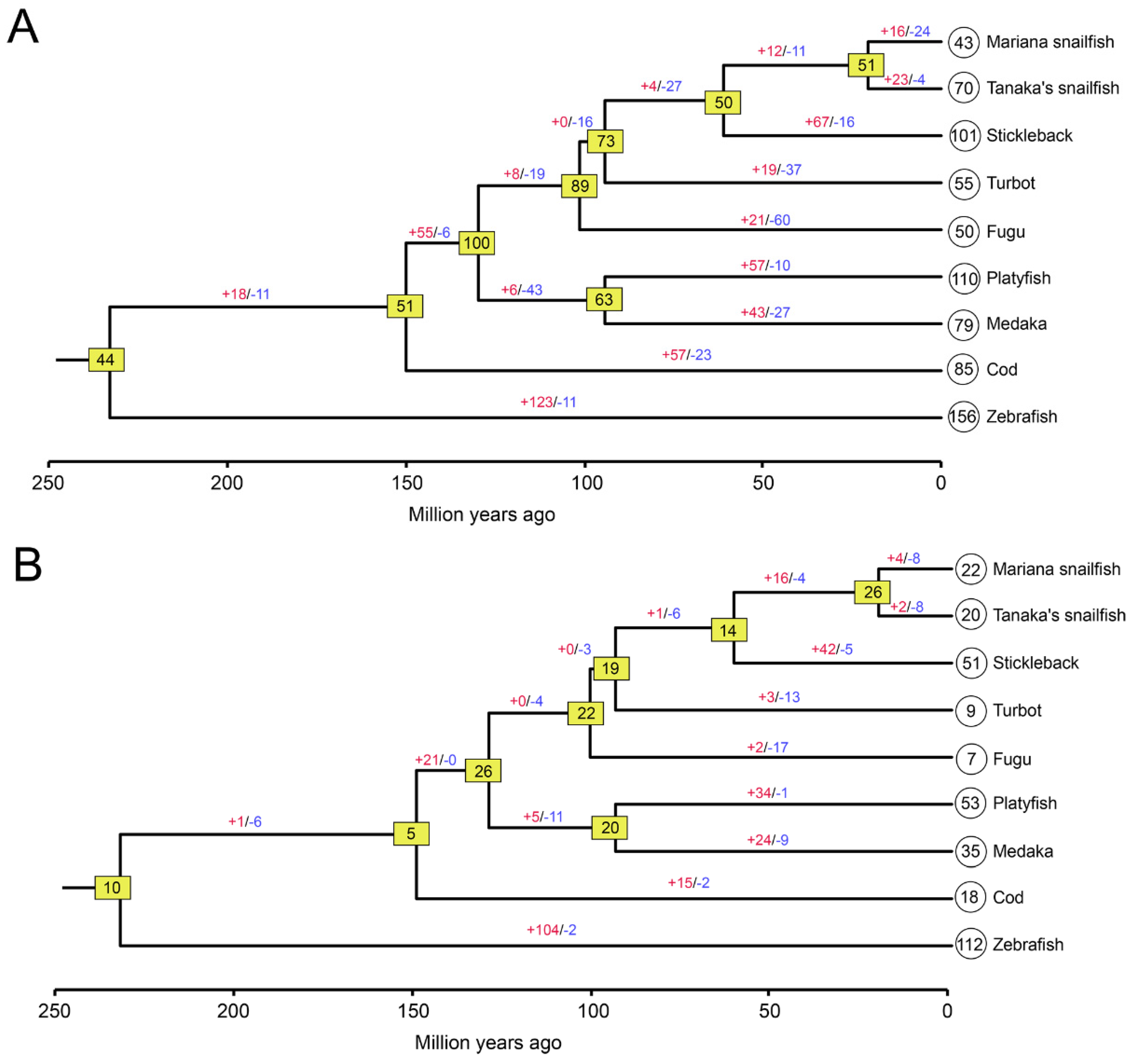 Genes 10 00910 g005 Genes 10 00910 g005