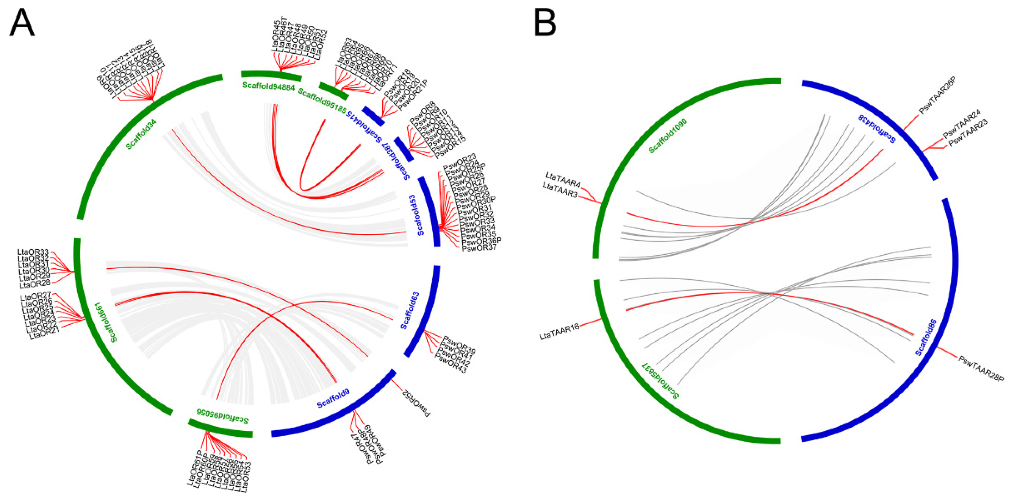 Genes 10 00910 g006 Genes 10 00910 g006