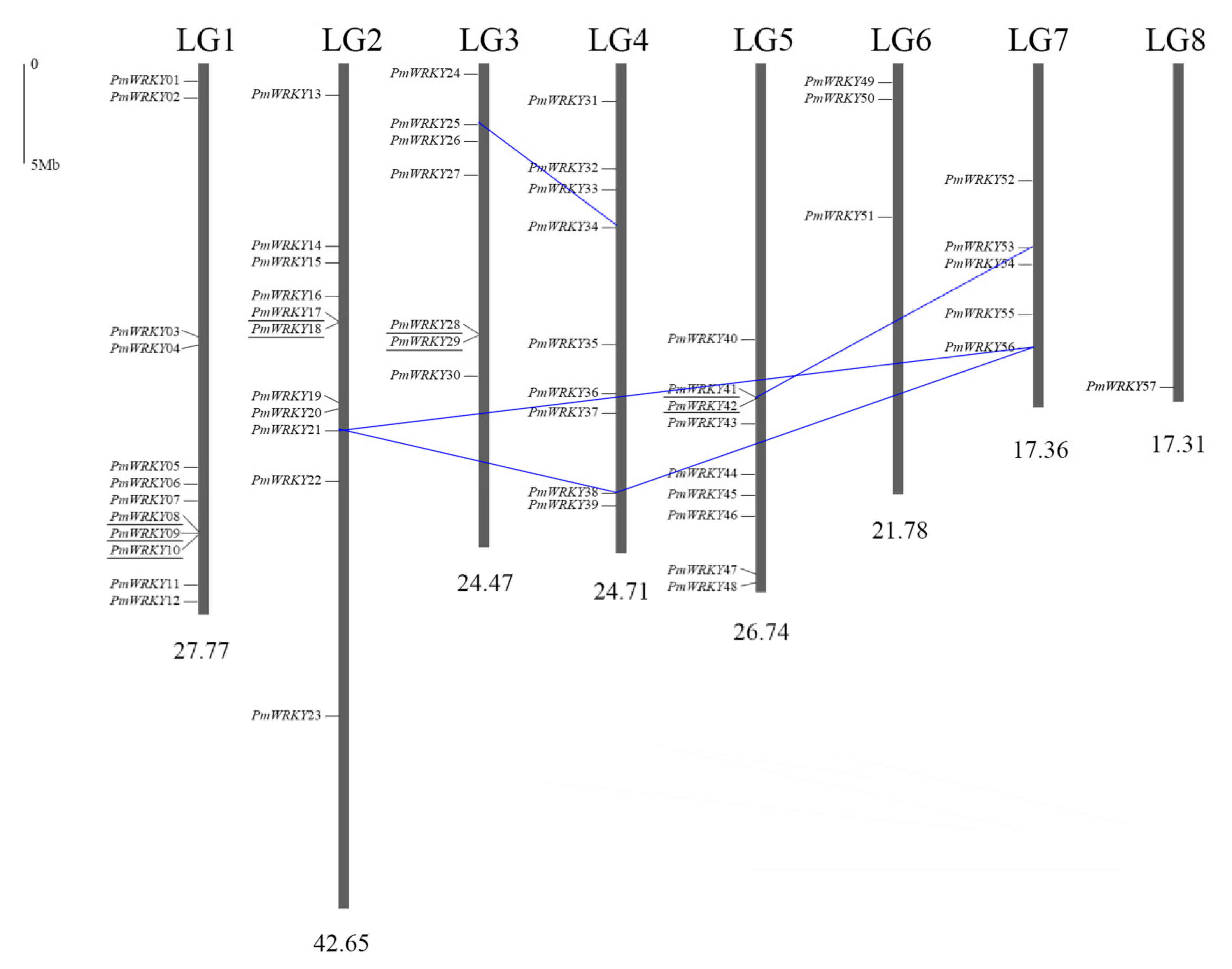 Genes 10 00911 g002 Genes 10 00911 g002