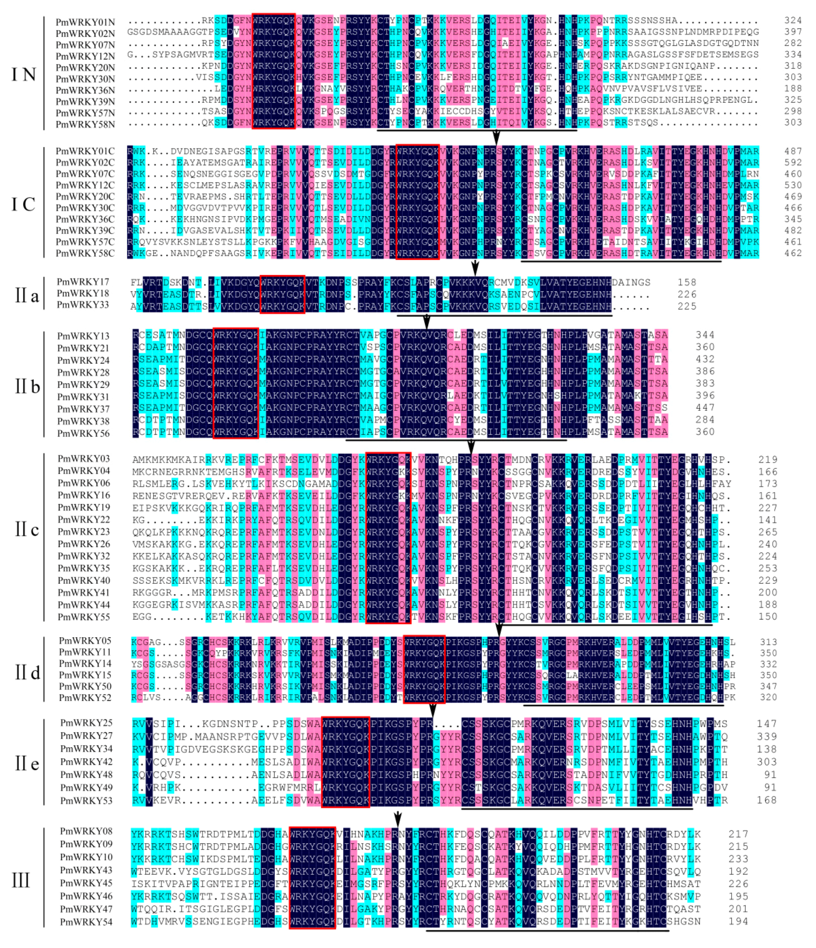 Genes 10 00911 g004 Genes 10 00911 g004