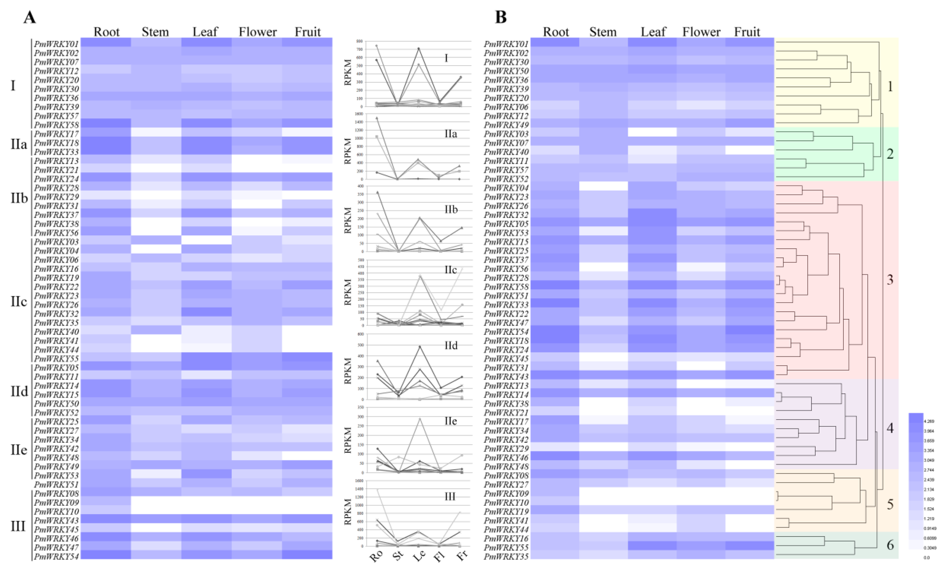 Genes 10 00911 g005 Genes 10 00911 g005