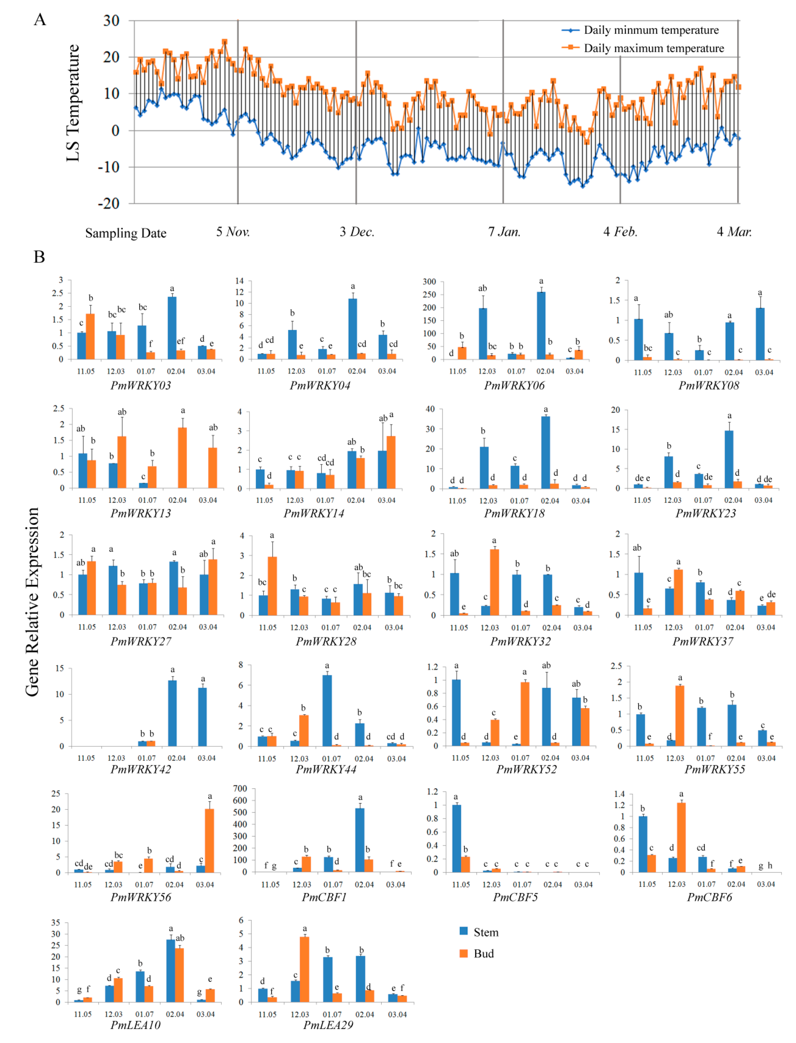 Genes 10 00911 g008 Genes 10 00911 g008