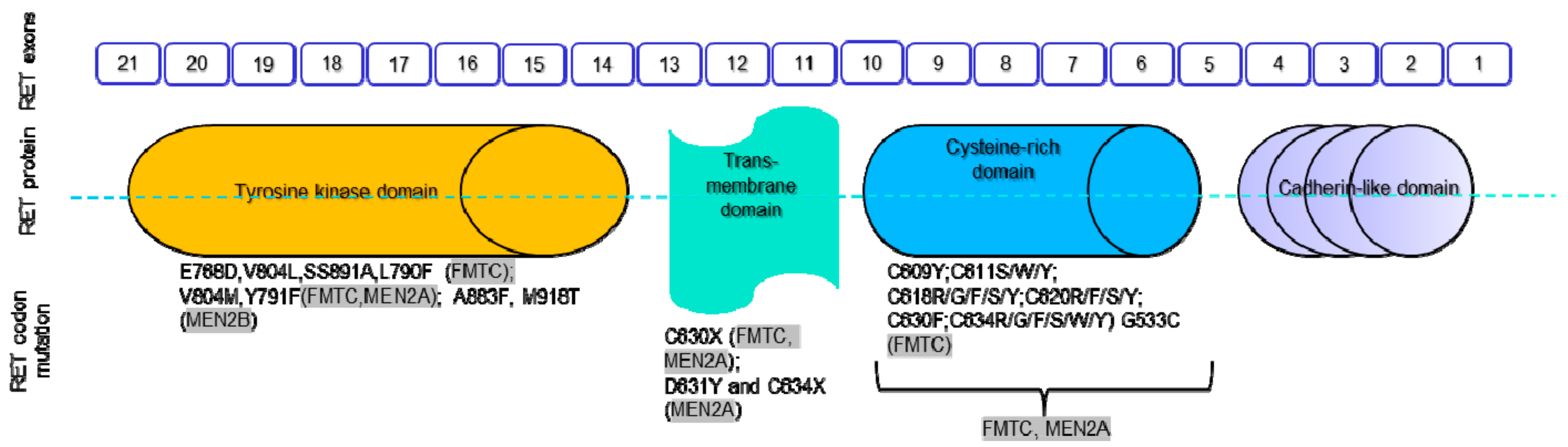 Genes 10 00913 g002 Genes 10 00913 g002