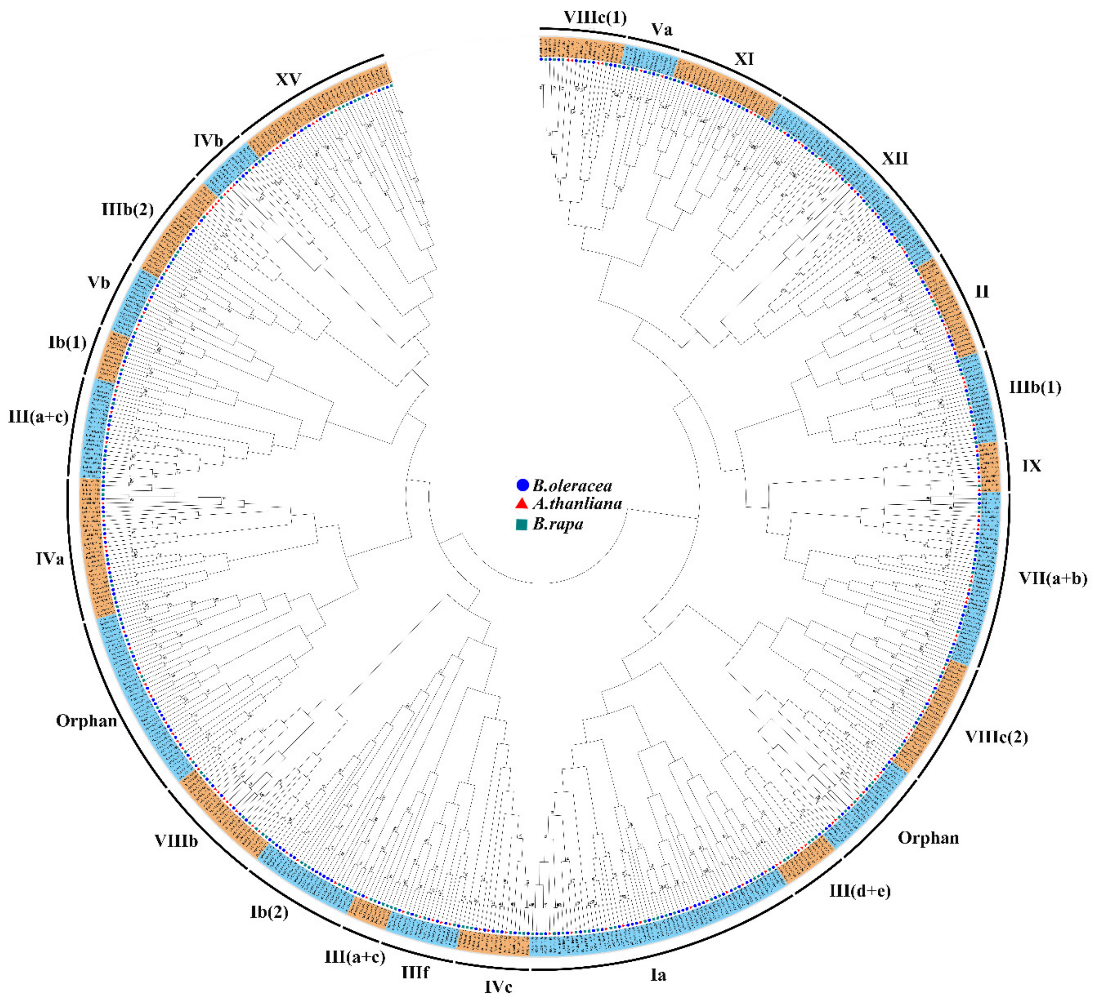 Genes 10 00914 g001 Genes 10 00914 g001
