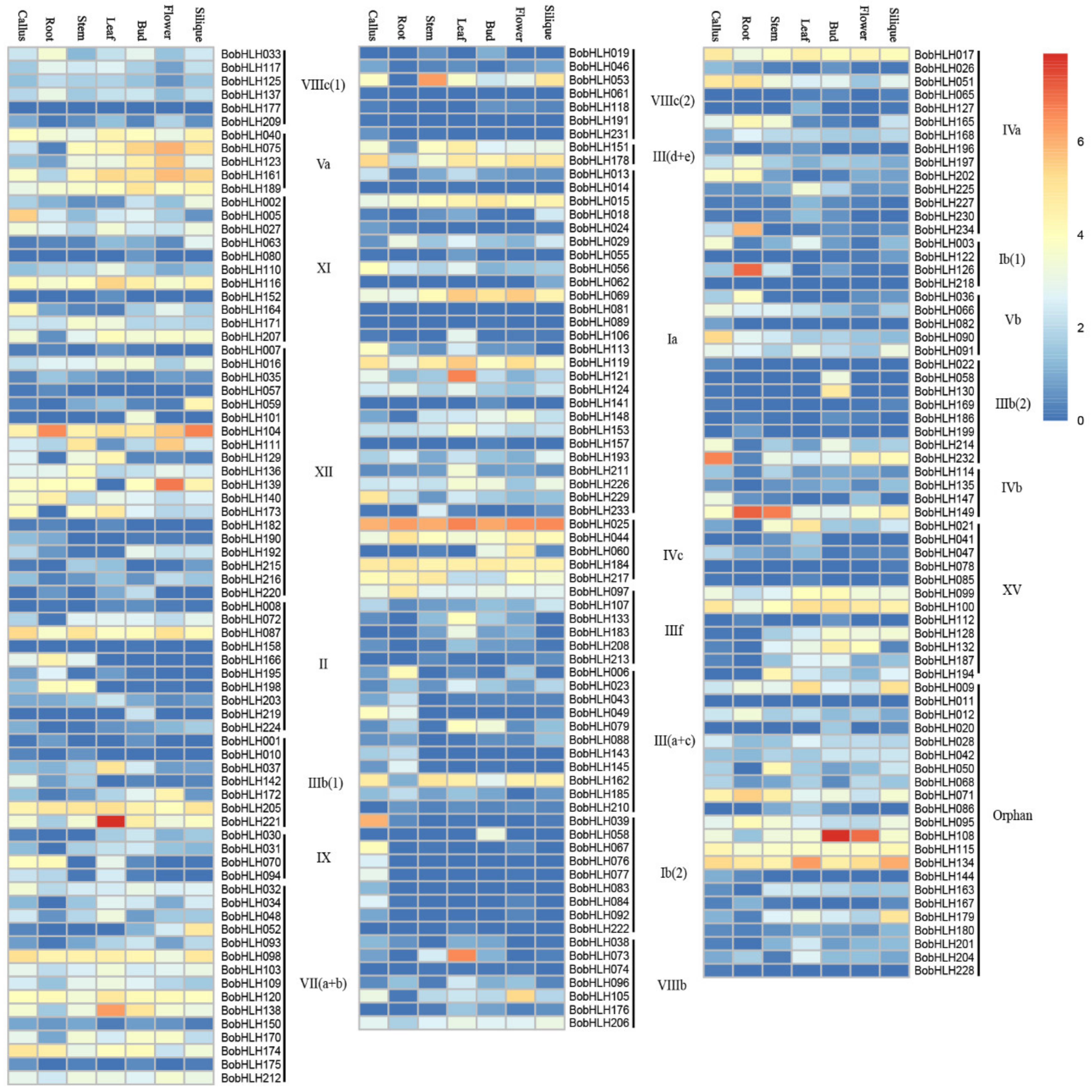 Genes 10 00914 g003 Genes 10 00914 g003