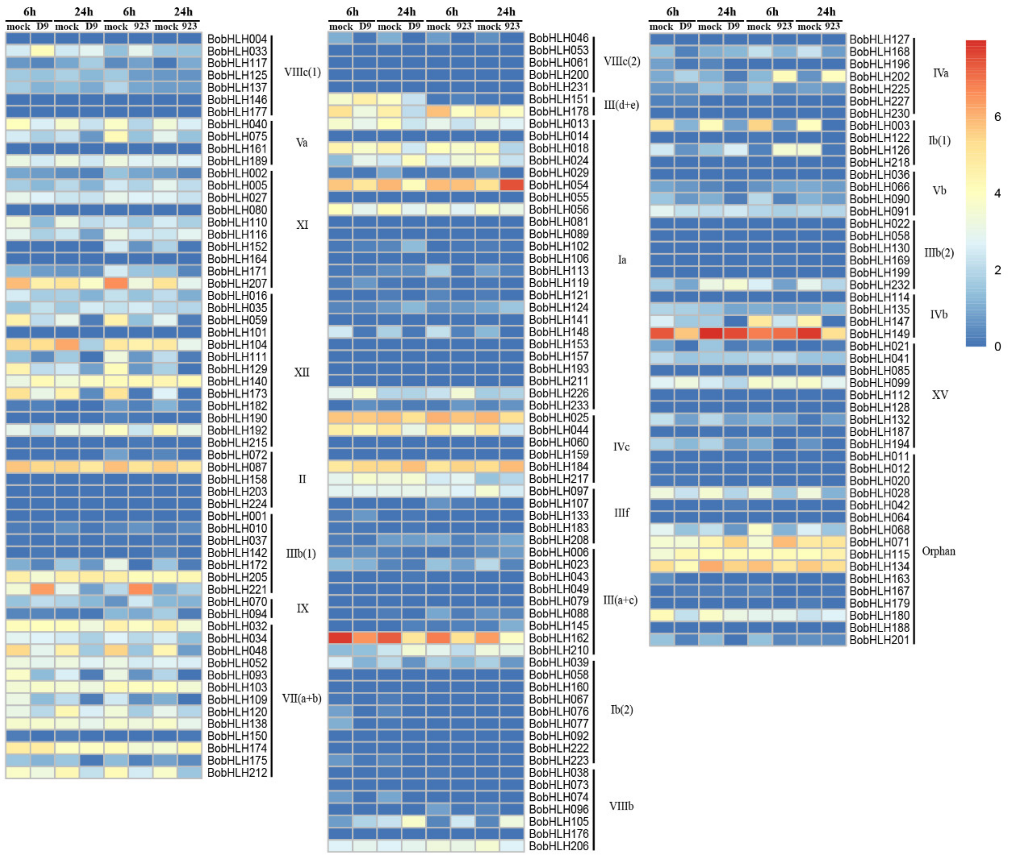 Genes 10 00914 g004 Genes 10 00914 g004