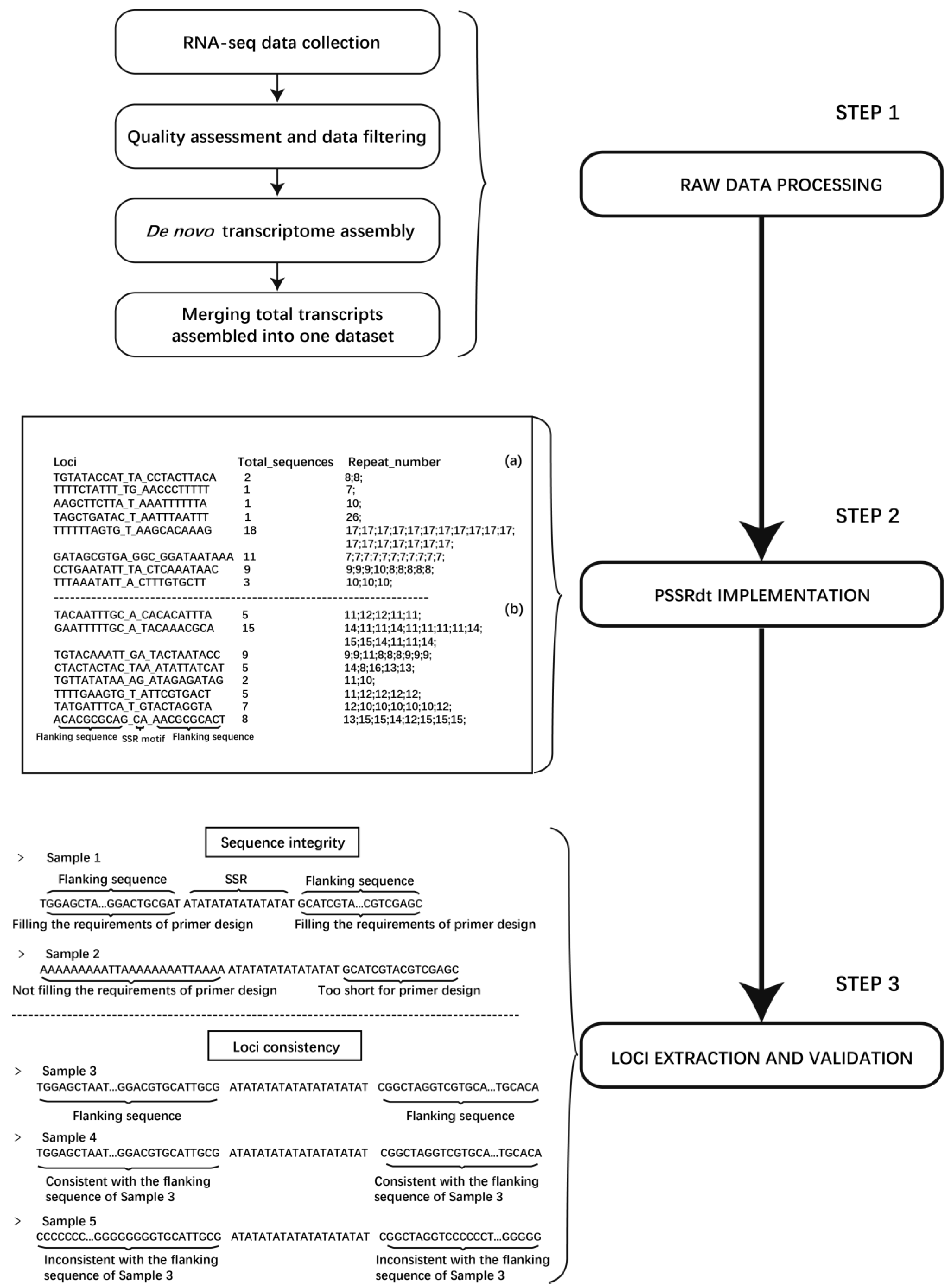 Genes 10 00917 g001 Genes 10 00917 g001