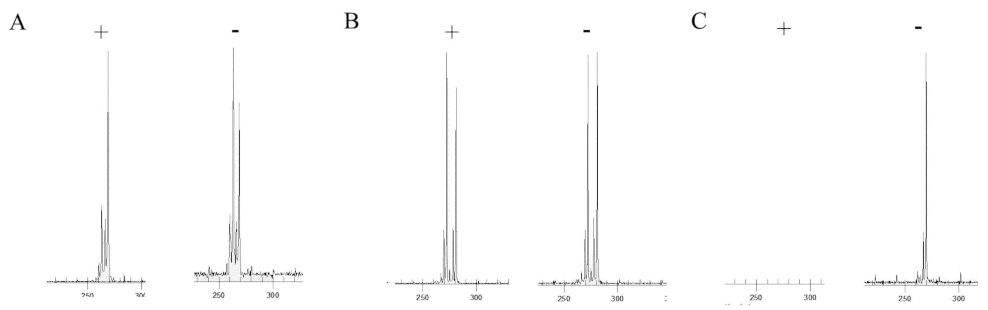 Genes 10 00919 g001 Genes 10 00919 g001
