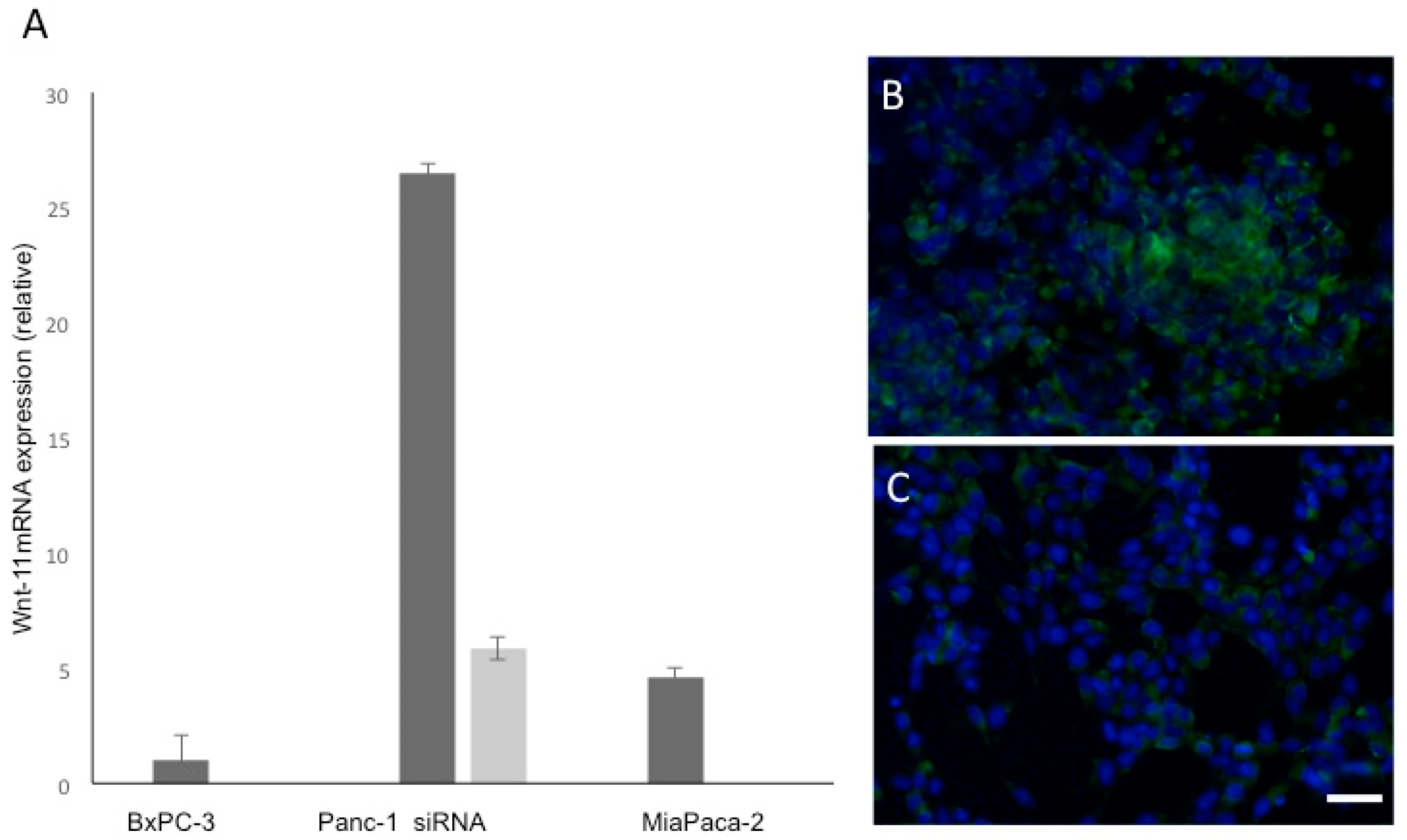 Genes 10 00921 g001 Genes 10 00921 g001