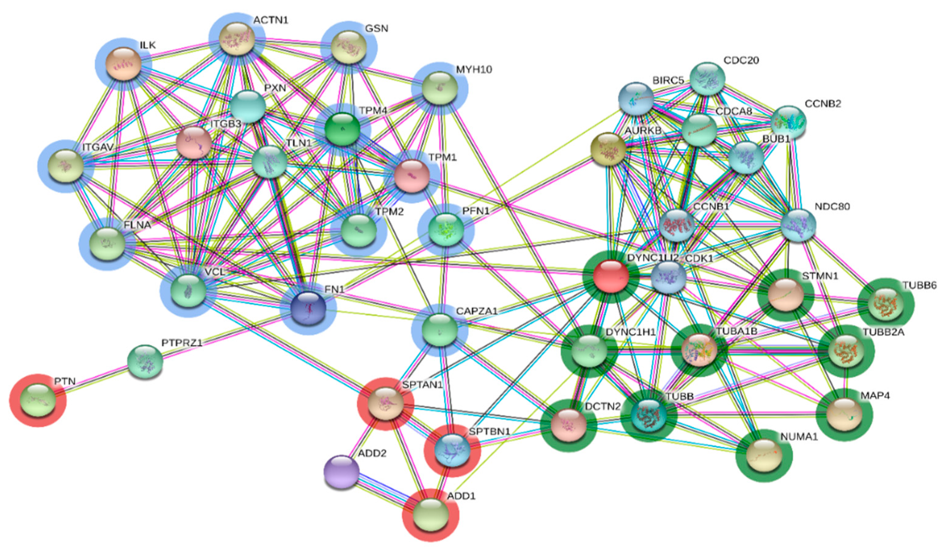 Genes 10 00923 g004 Genes 10 00923 g004