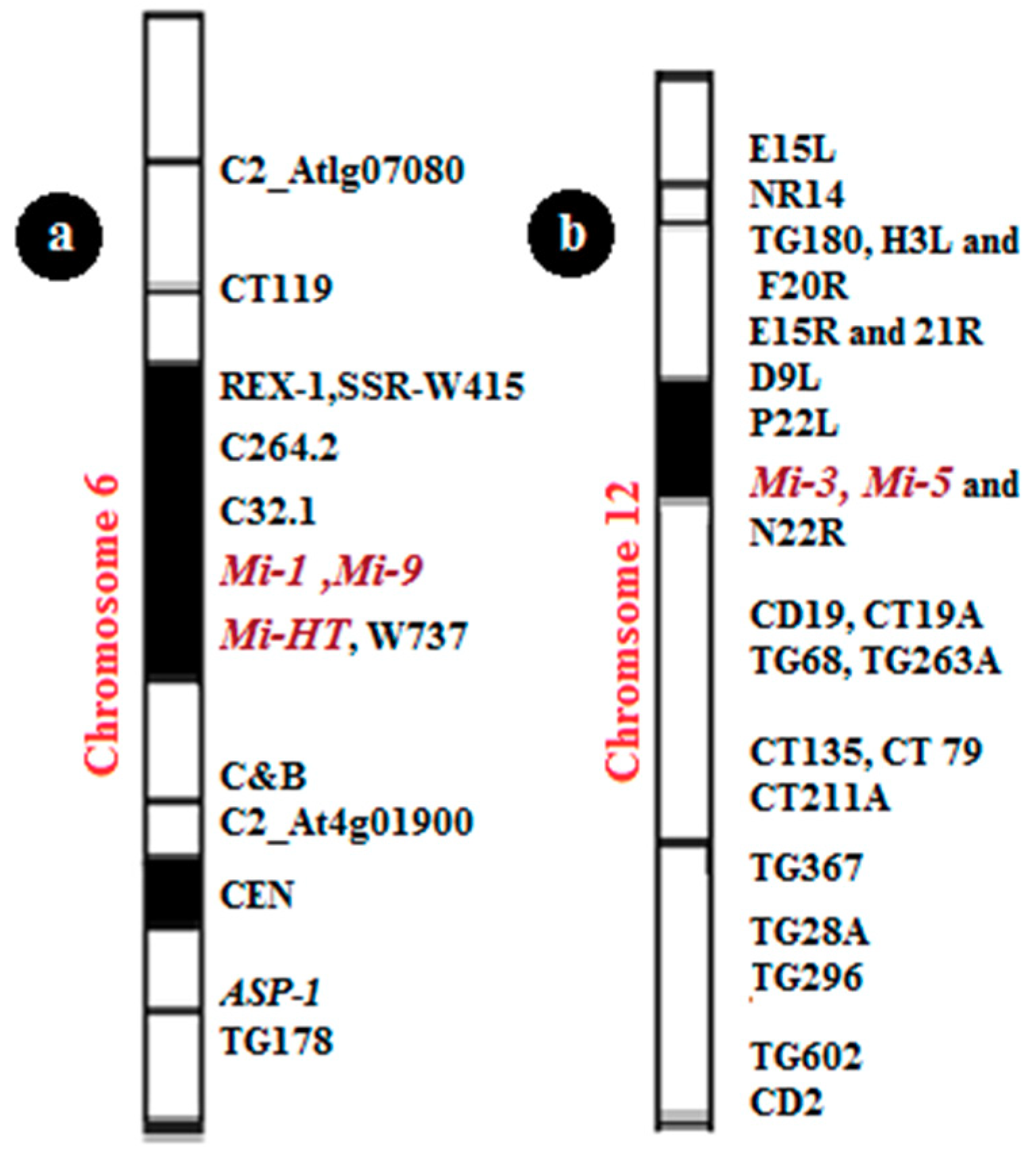 Genes 10 00925 g004