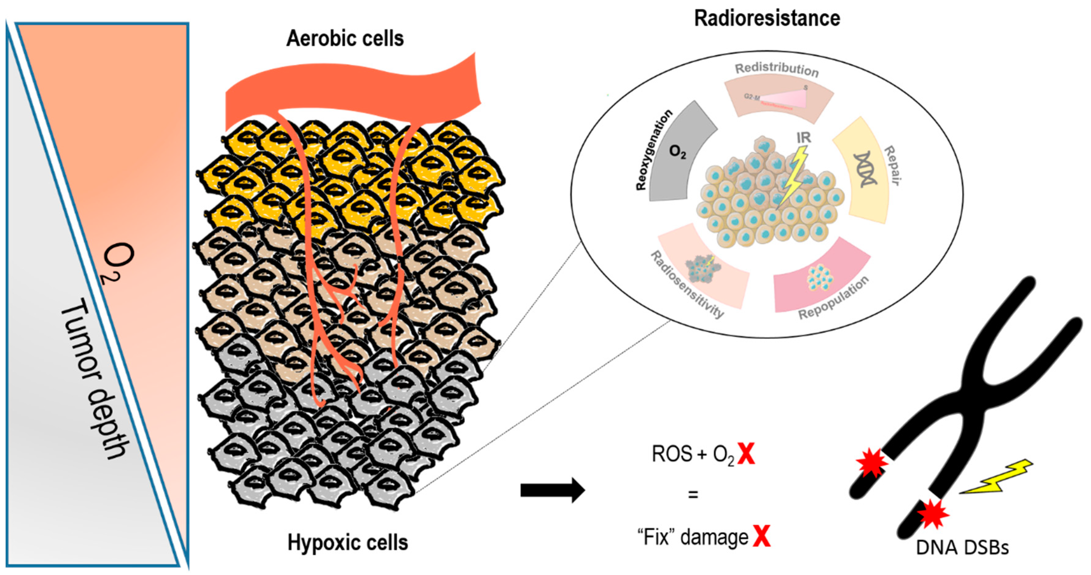 Genes 10 00927 g001 Genes 10 00927 g001