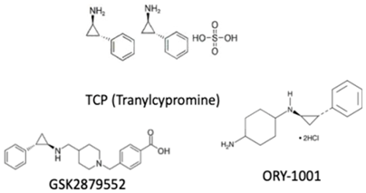 Genes 10 00927 i008 Genes 10 00927 i008