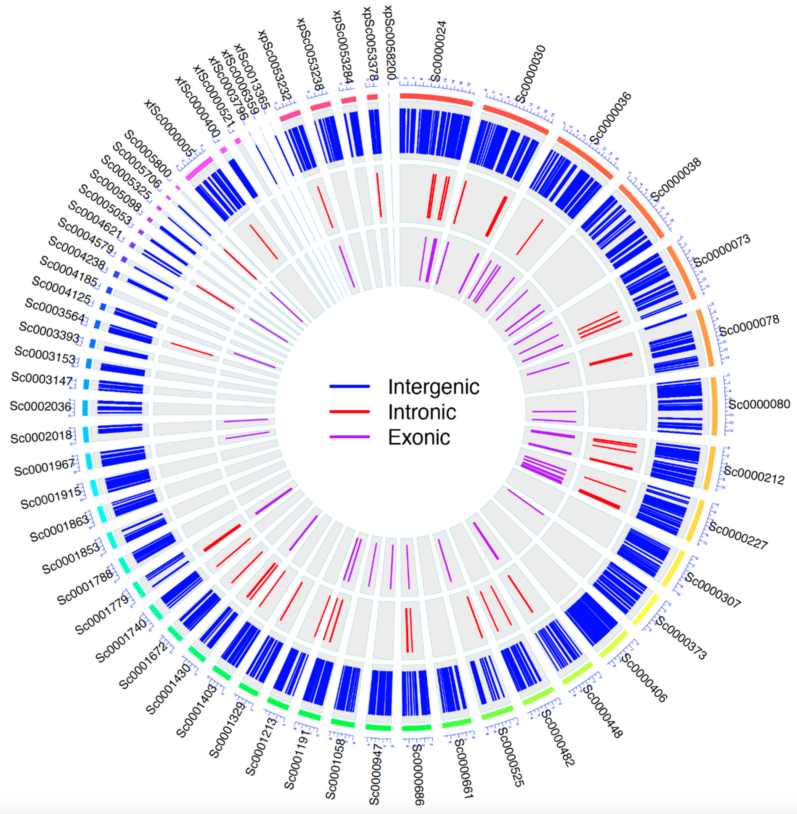 Genes 10 00929 g002 Genes 10 00929 g002