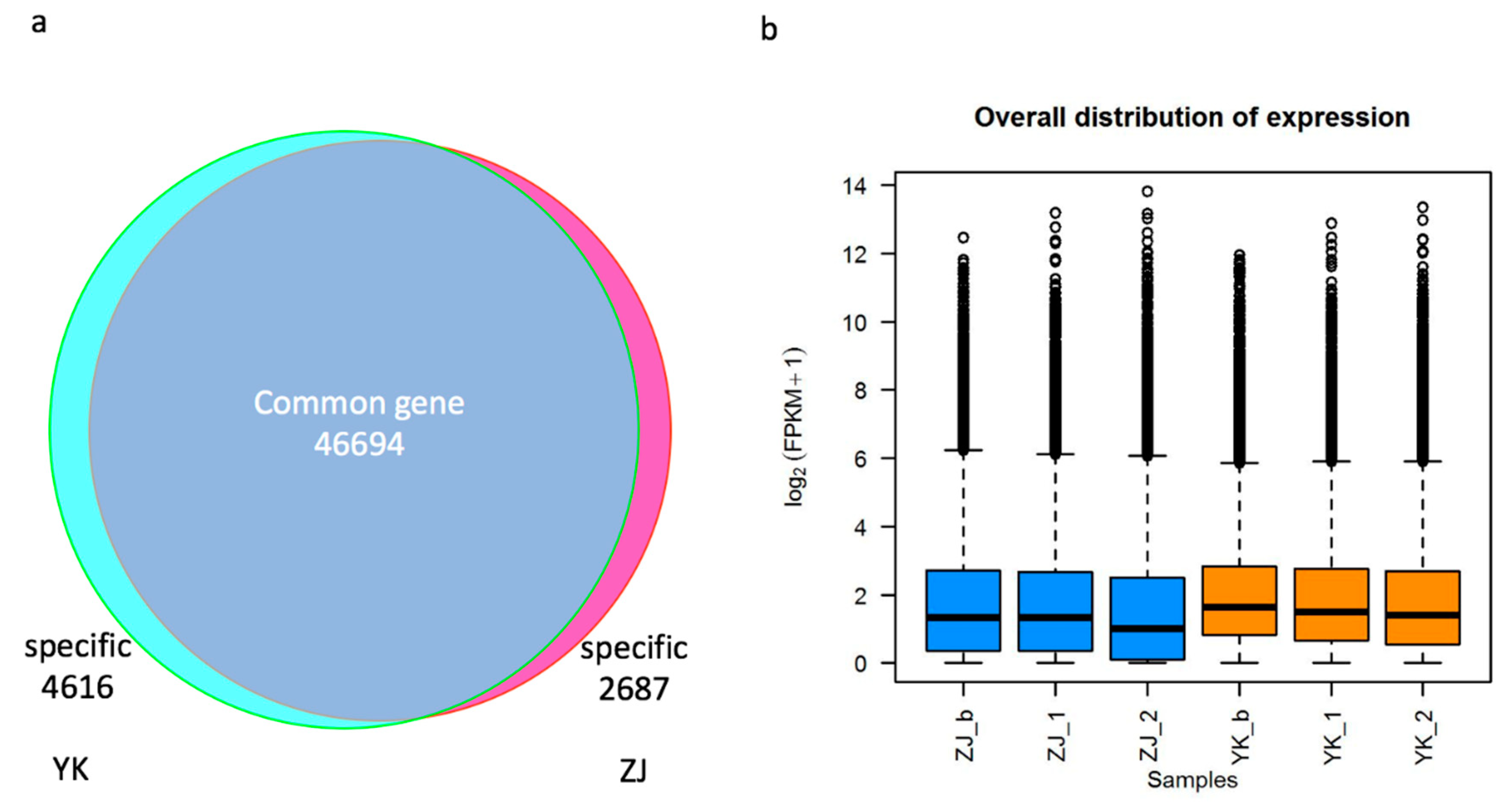 Genes 10 00929 g003 Genes 10 00929 g003