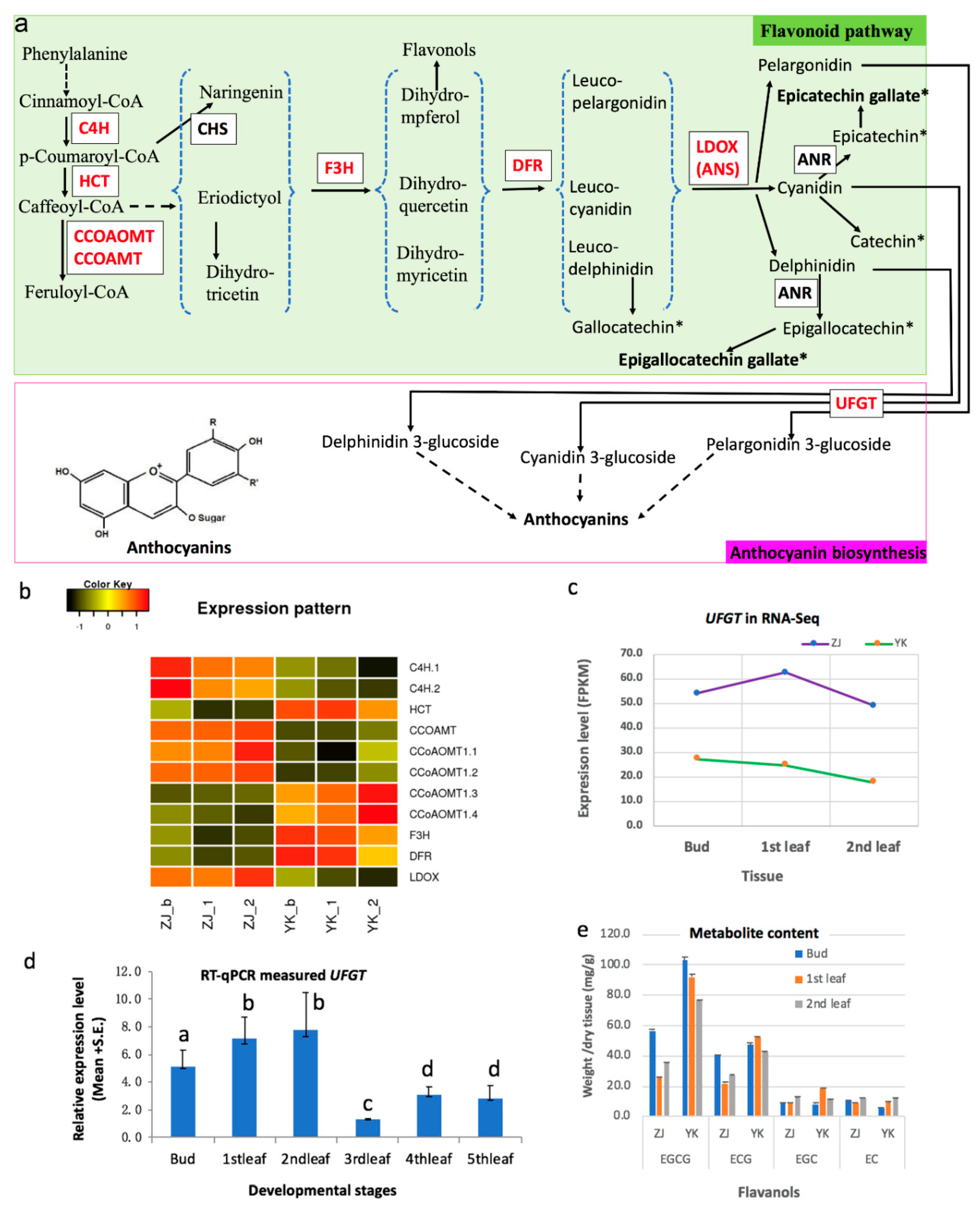 Genes 10 00929 g006 Genes 10 00929 g006