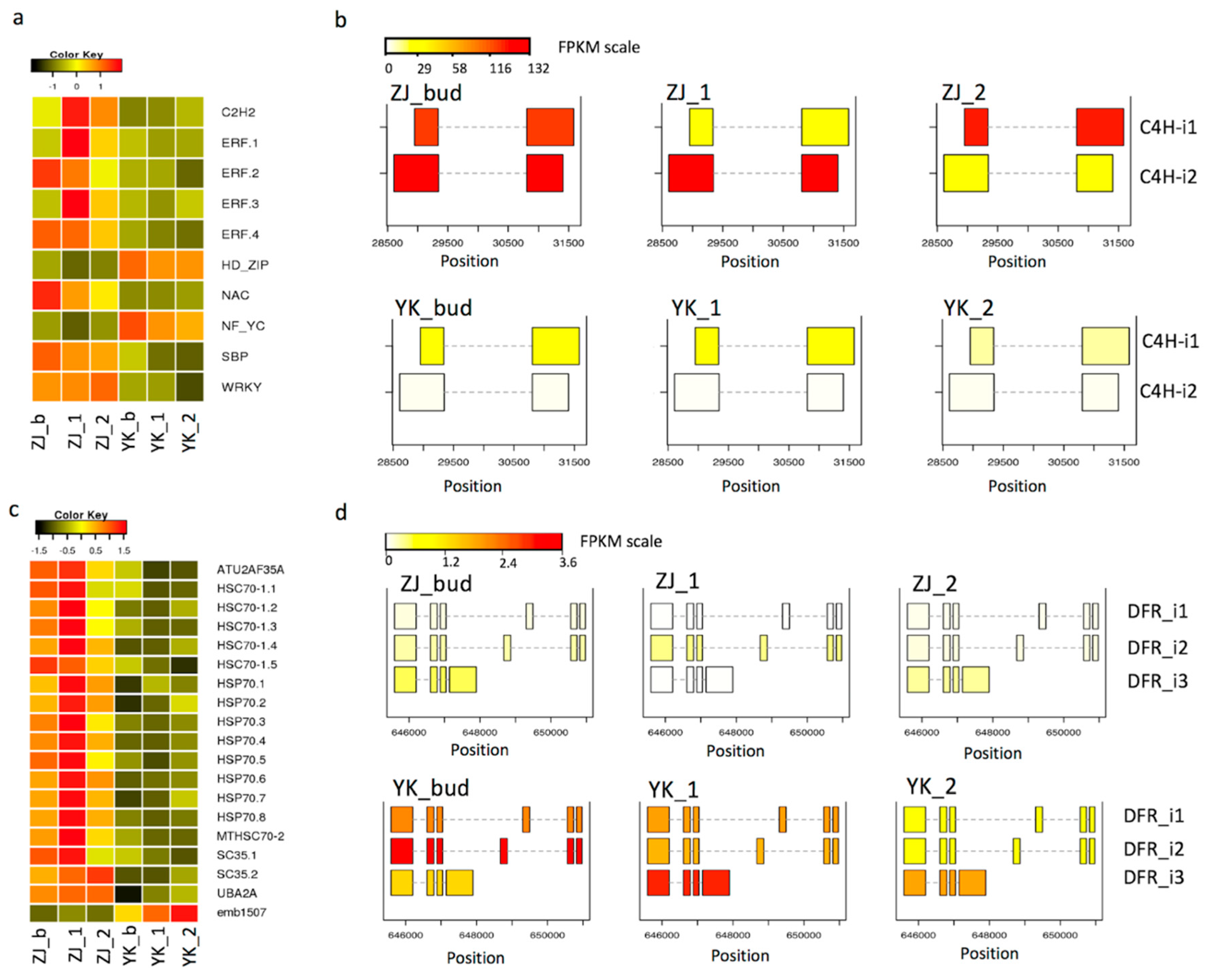 Genes 10 00929 g008 Genes 10 00929 g008