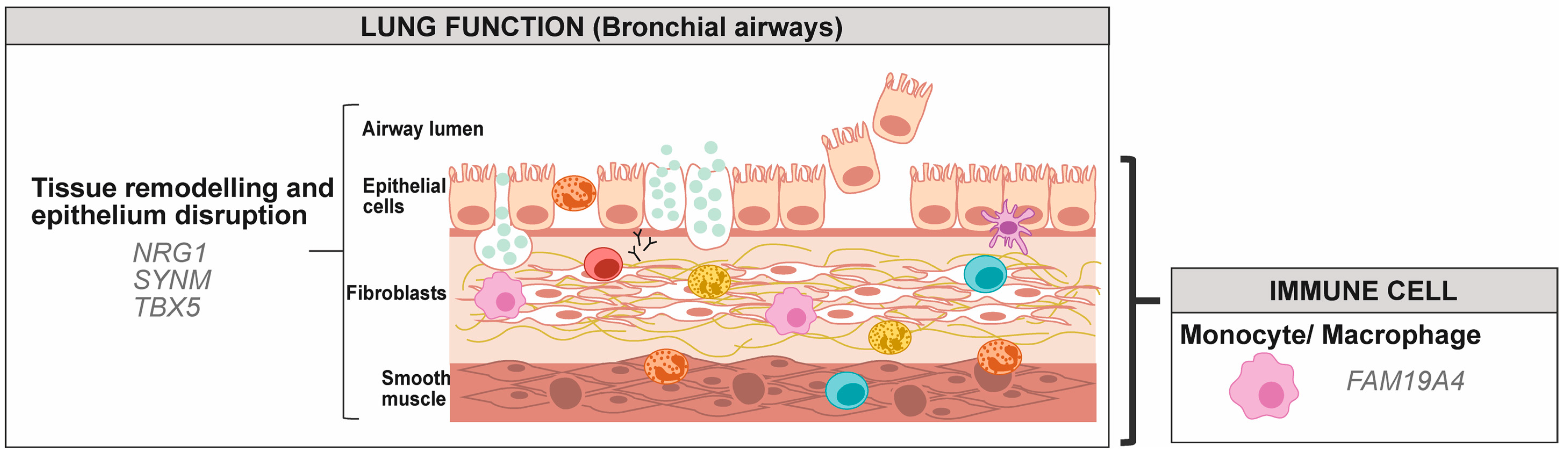 Genes 10 00932 g003