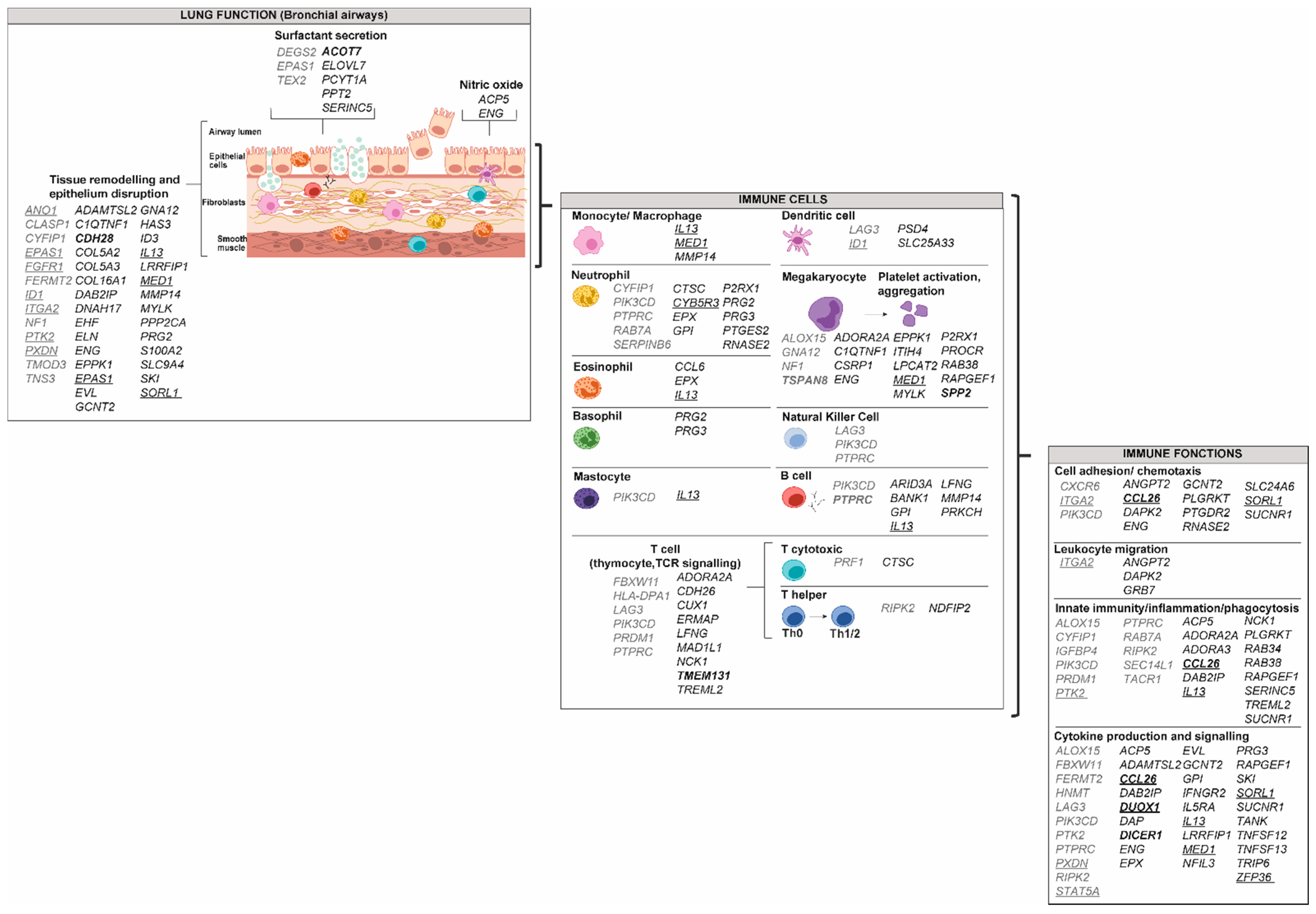 Genes 10 00932 g005