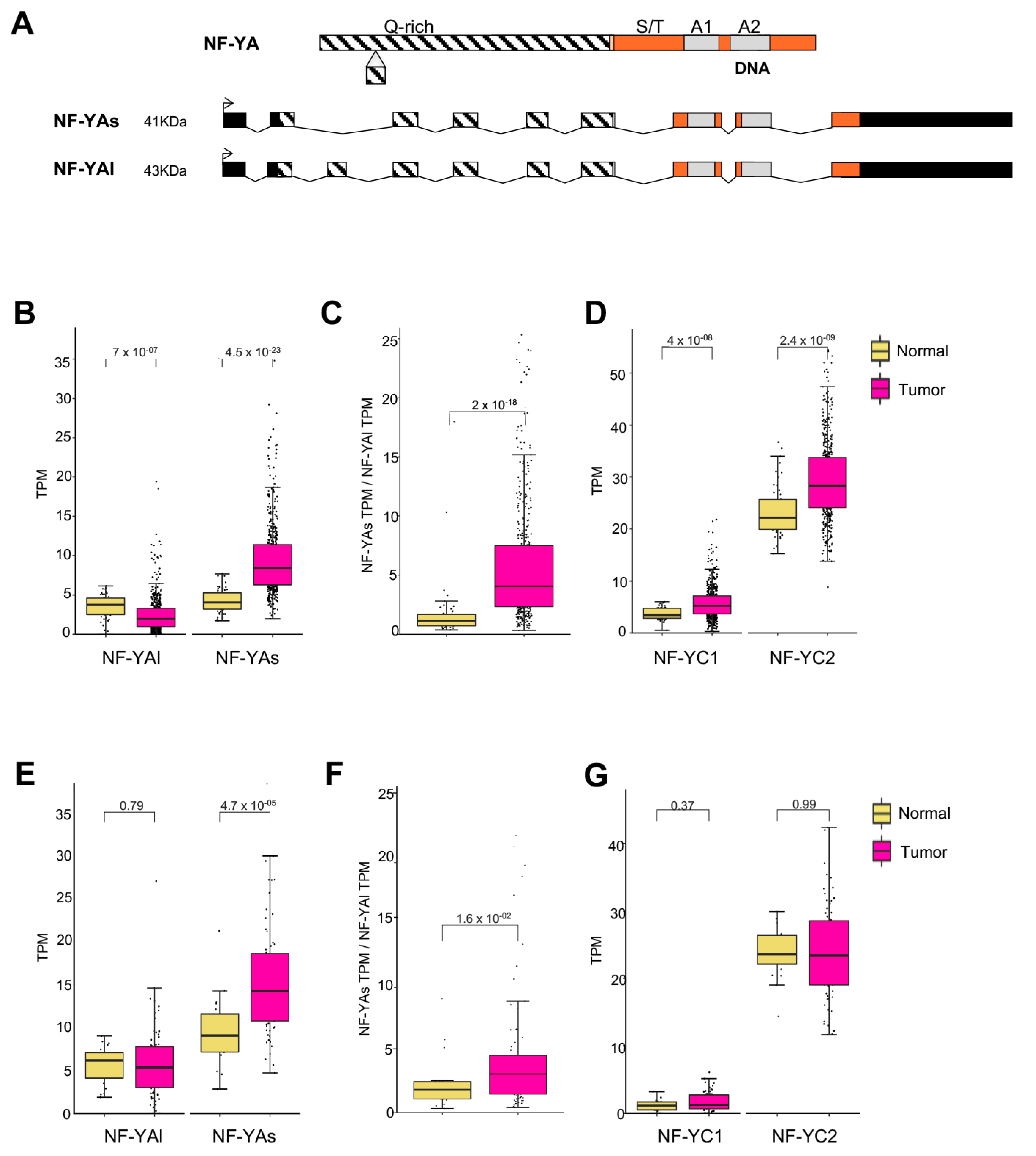 Genes 10 00937 g002 Genes 10 00937 g002