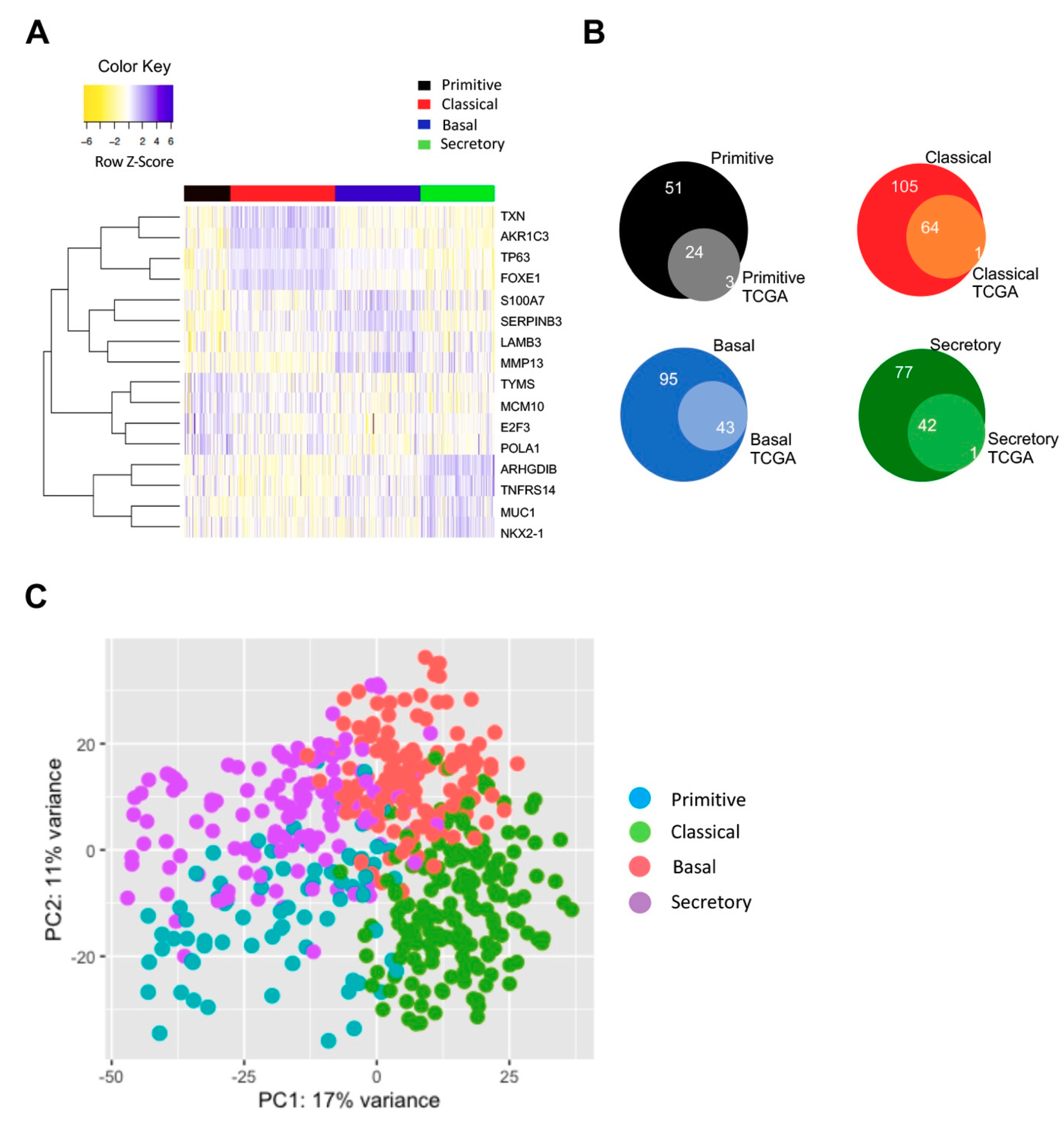 Genes 10 00937 g005 Genes 10 00937 g005