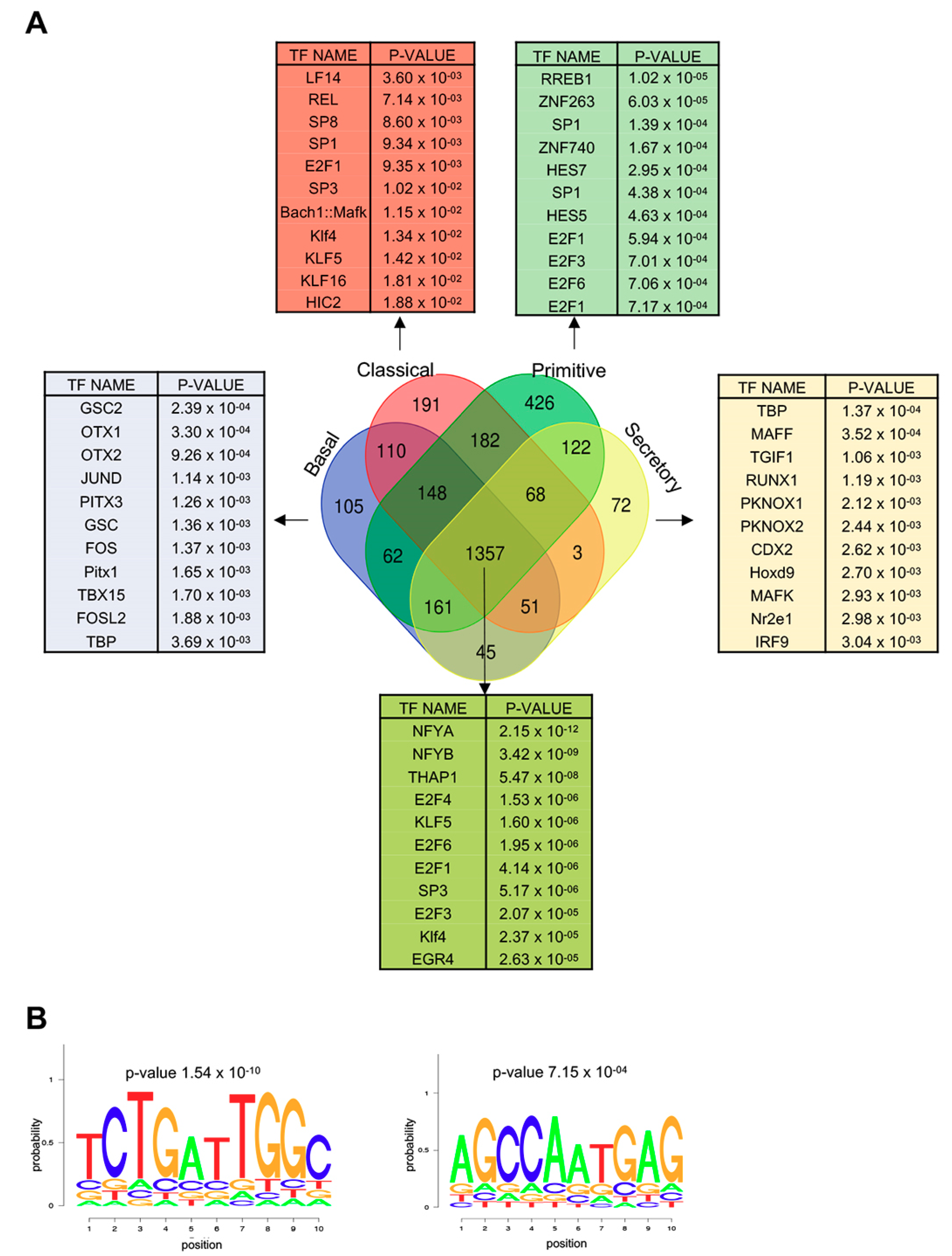 Genes 10 00937 g007 Genes 10 00937 g007