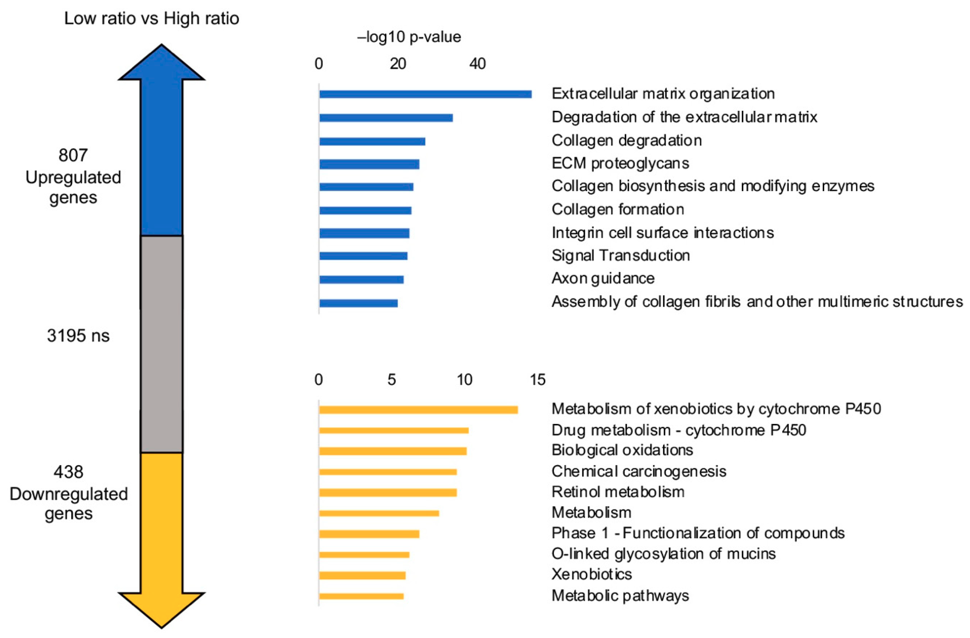 Genes 10 00937 g009 Genes 10 00937 g009