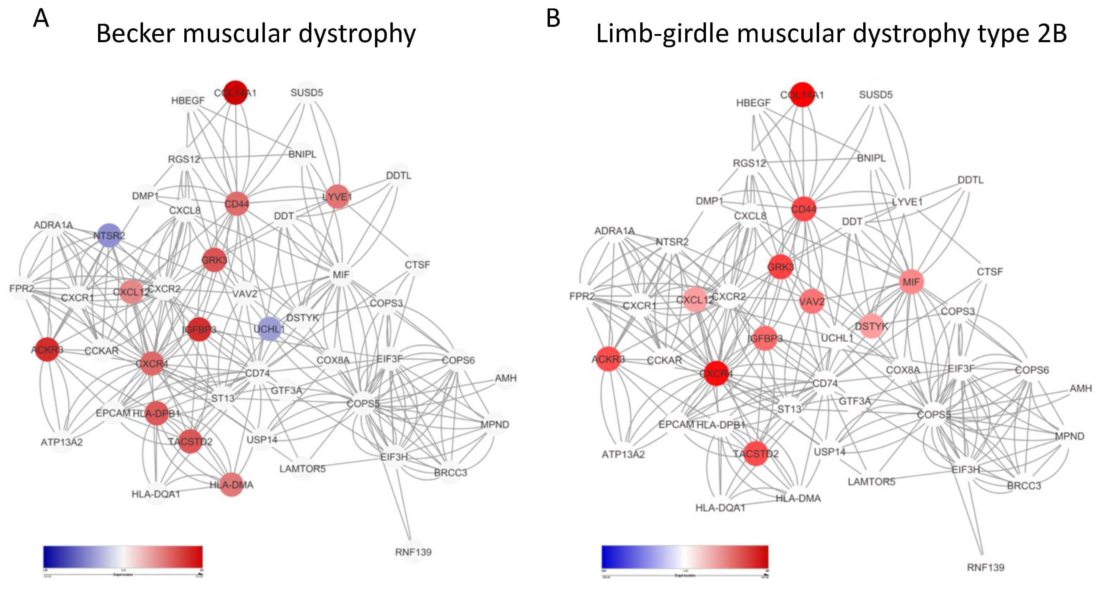 Genes 10 00939 g002 Genes 10 00939 g002