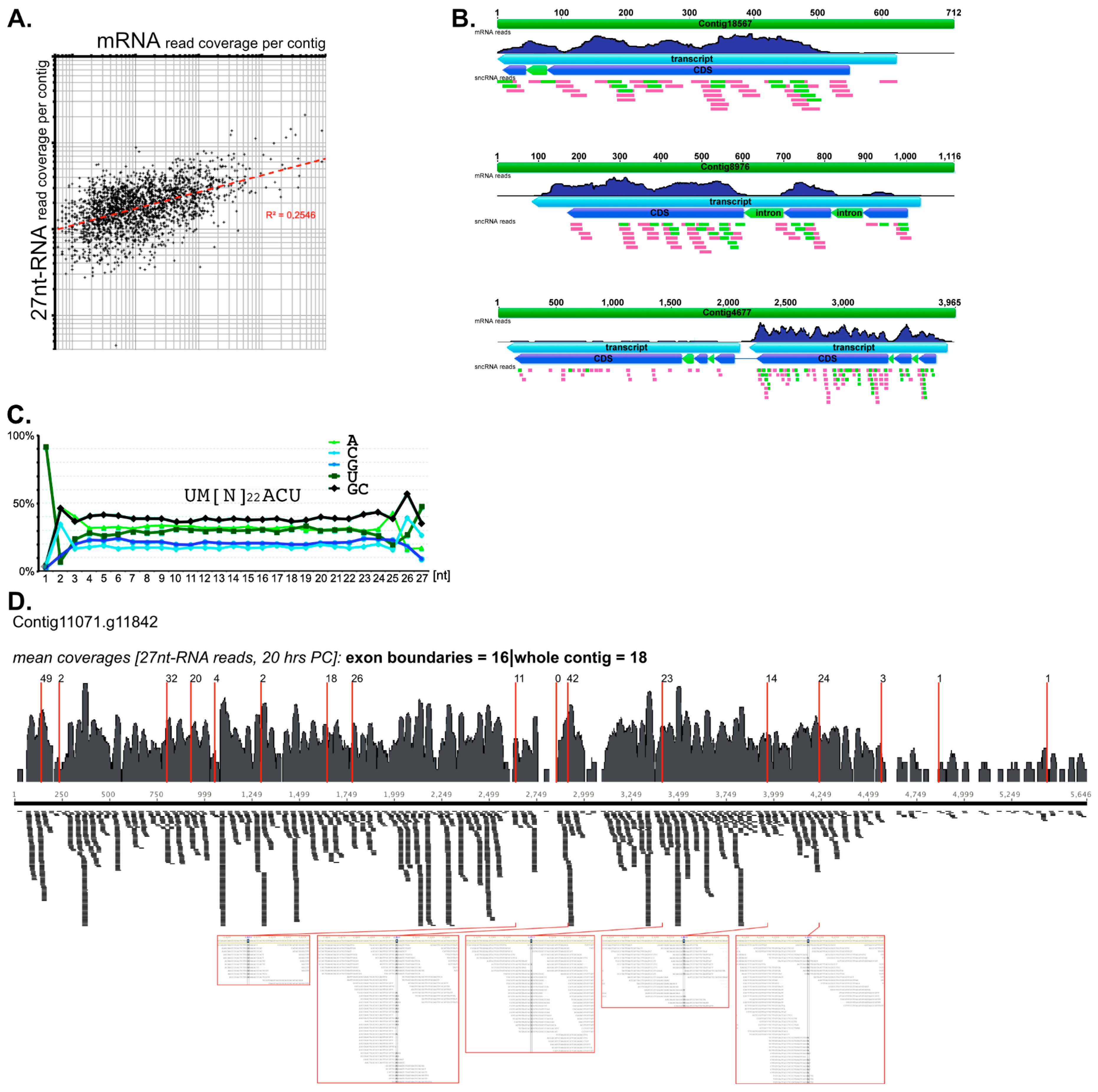Genes 10 00940 g002 Genes 10 00940 g002