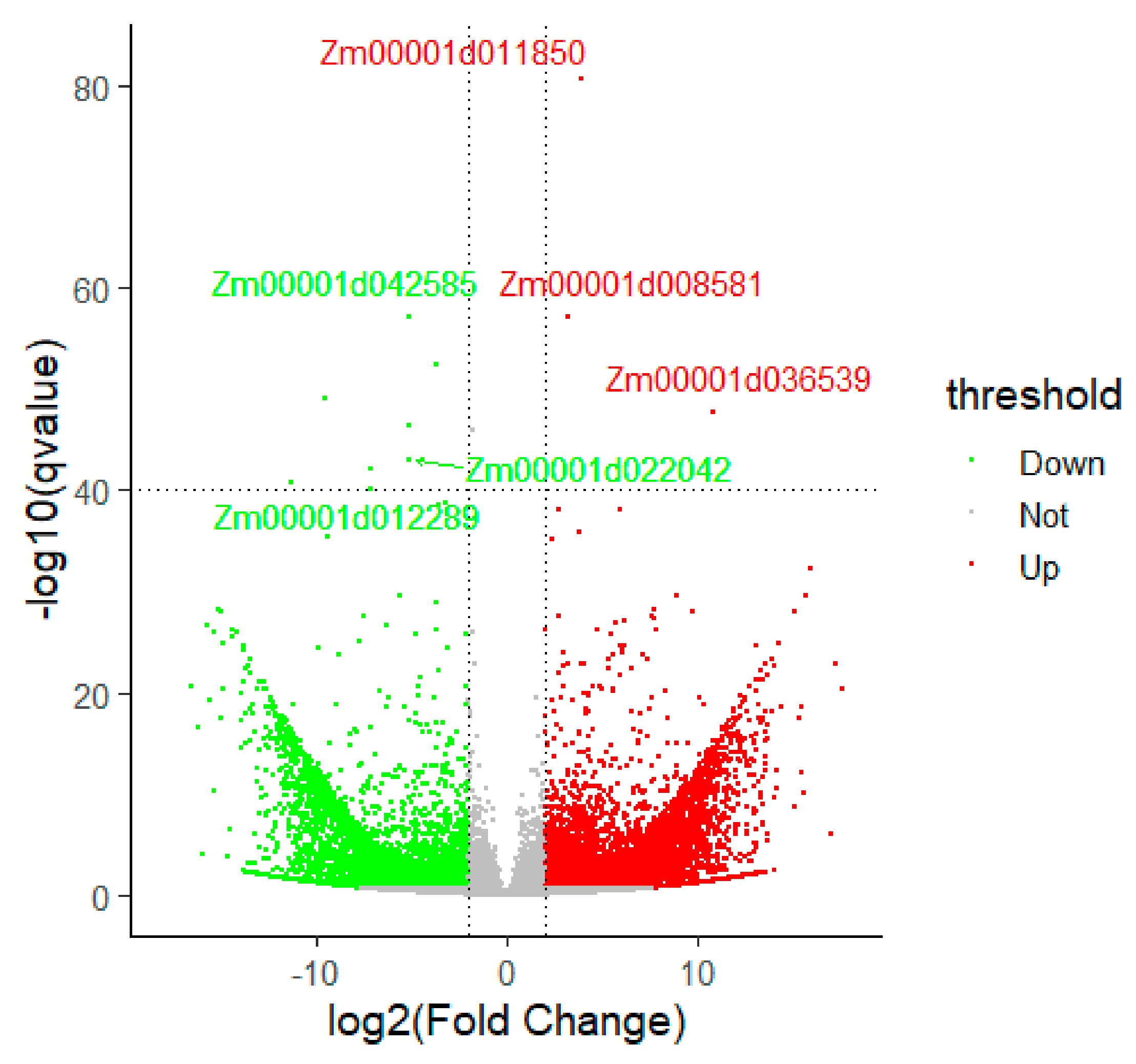 Genes 10 00944 g003