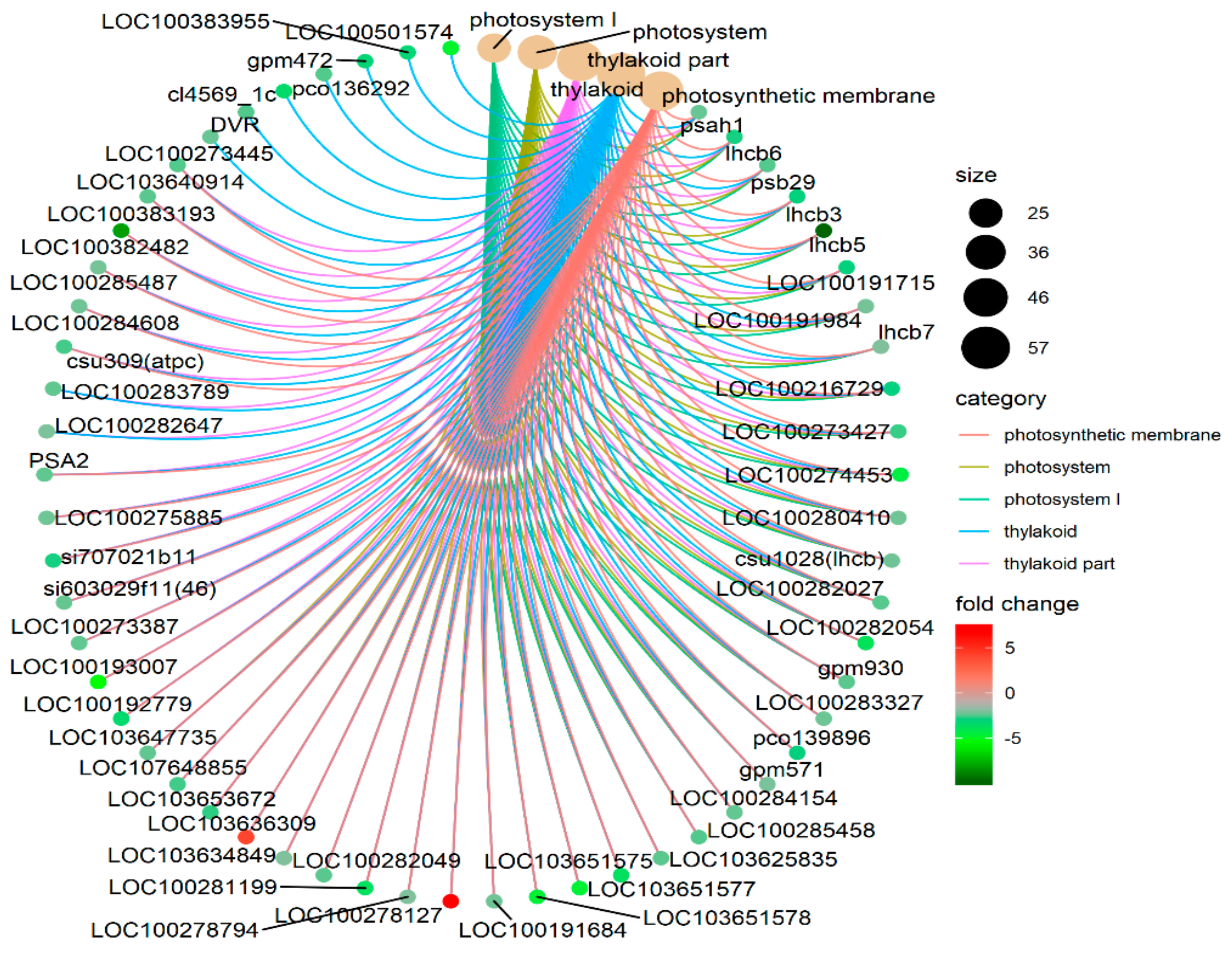 Genes 10 00944 g006
