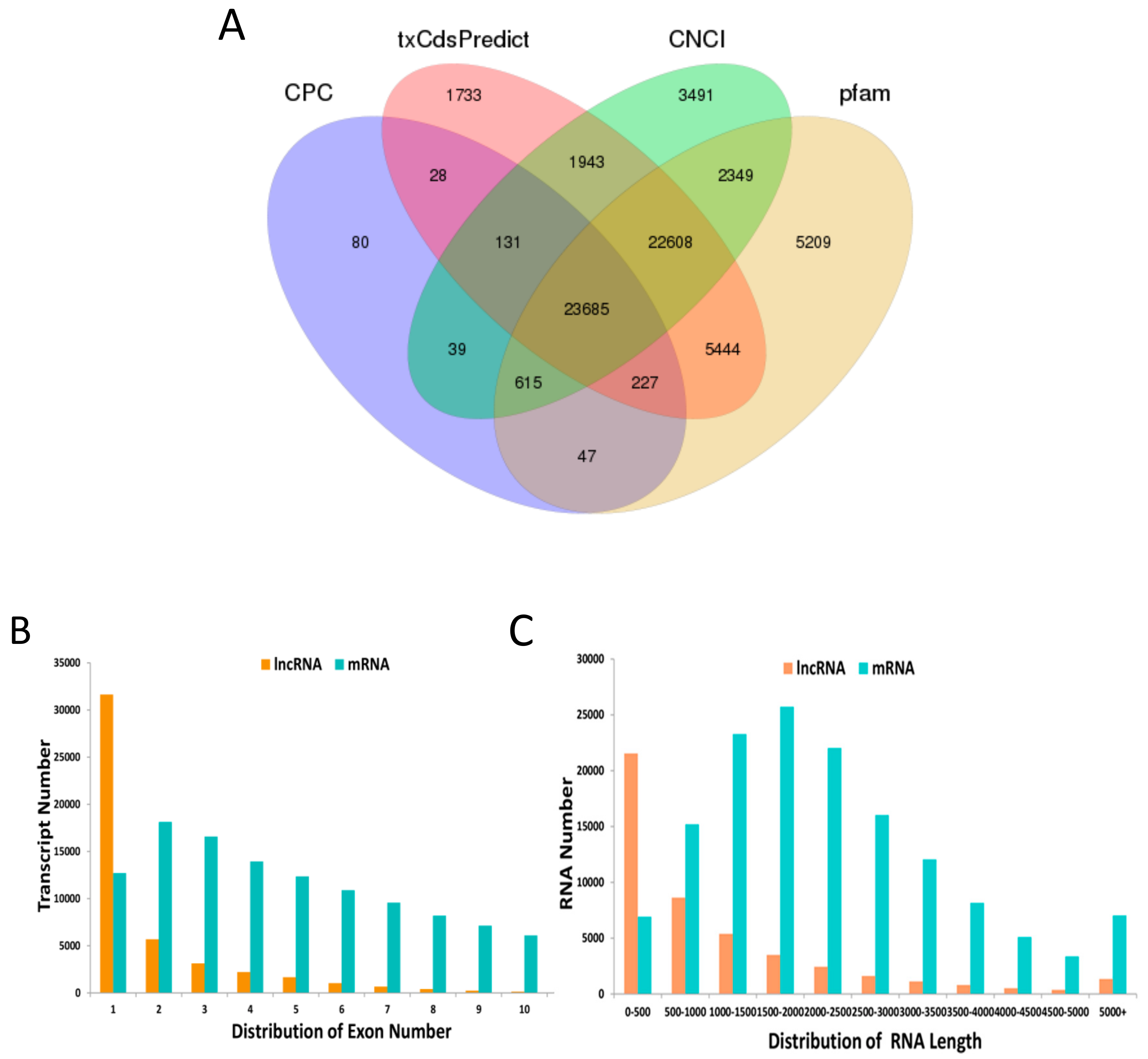 Genes 10 00947 g001 Genes 10 00947 g001