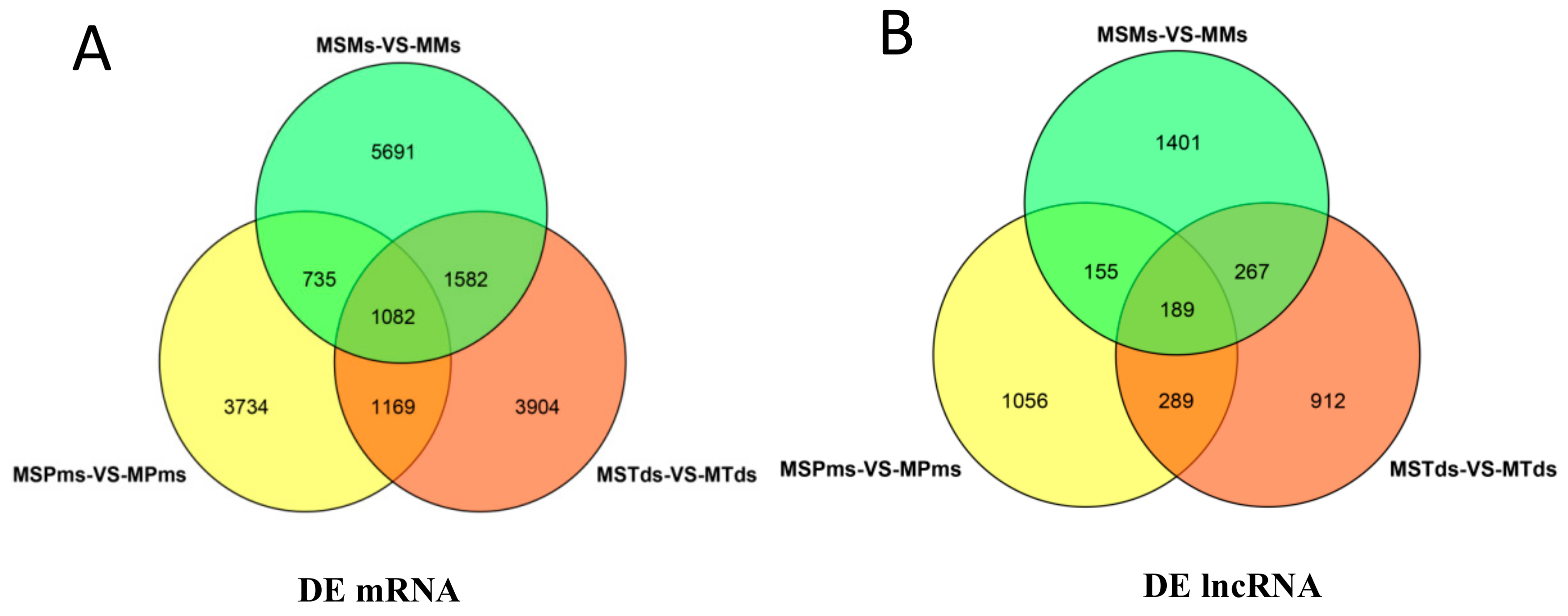 Genes 10 00947 g002 Genes 10 00947 g002