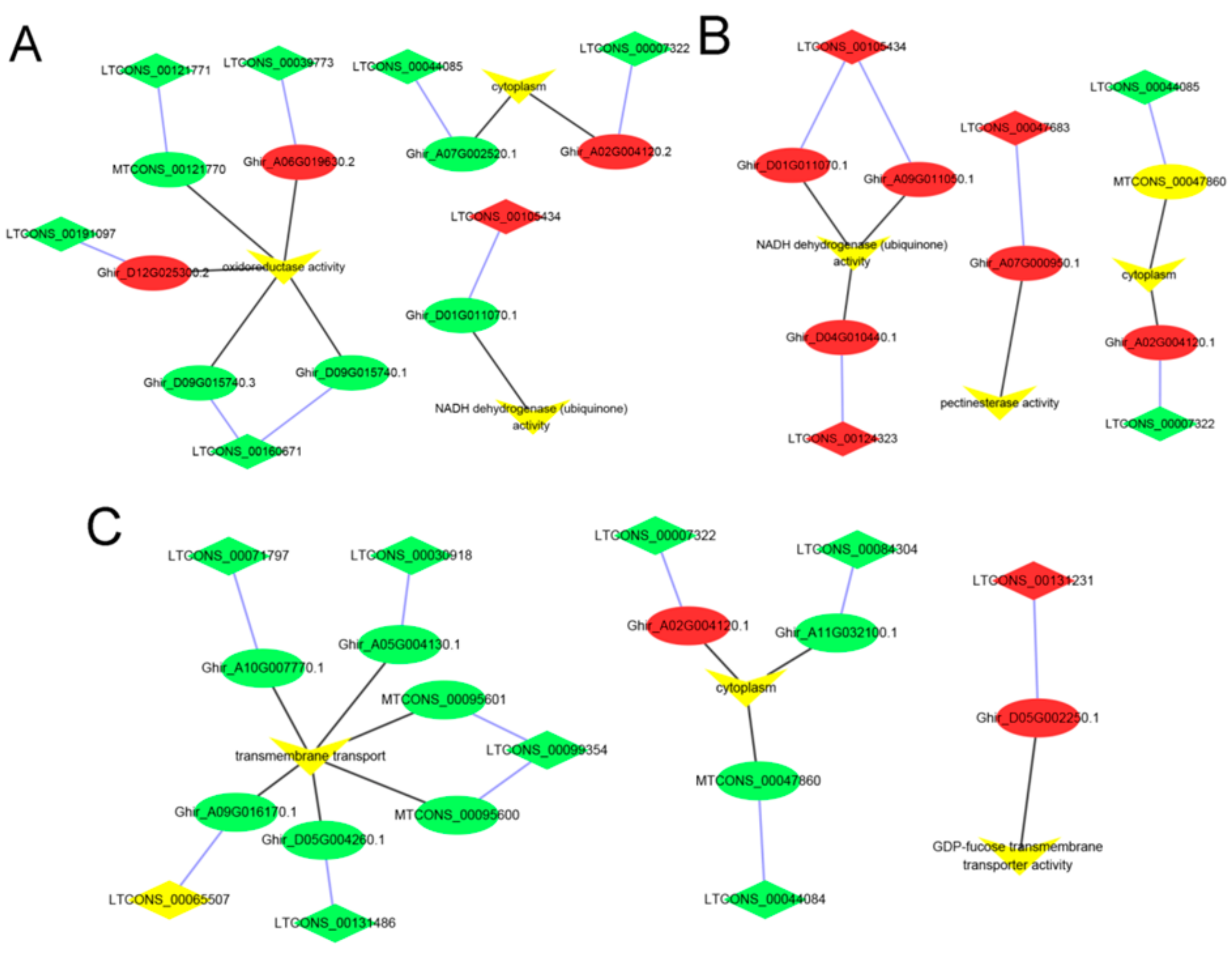 Genes 10 00947 g005 Genes 10 00947 g005