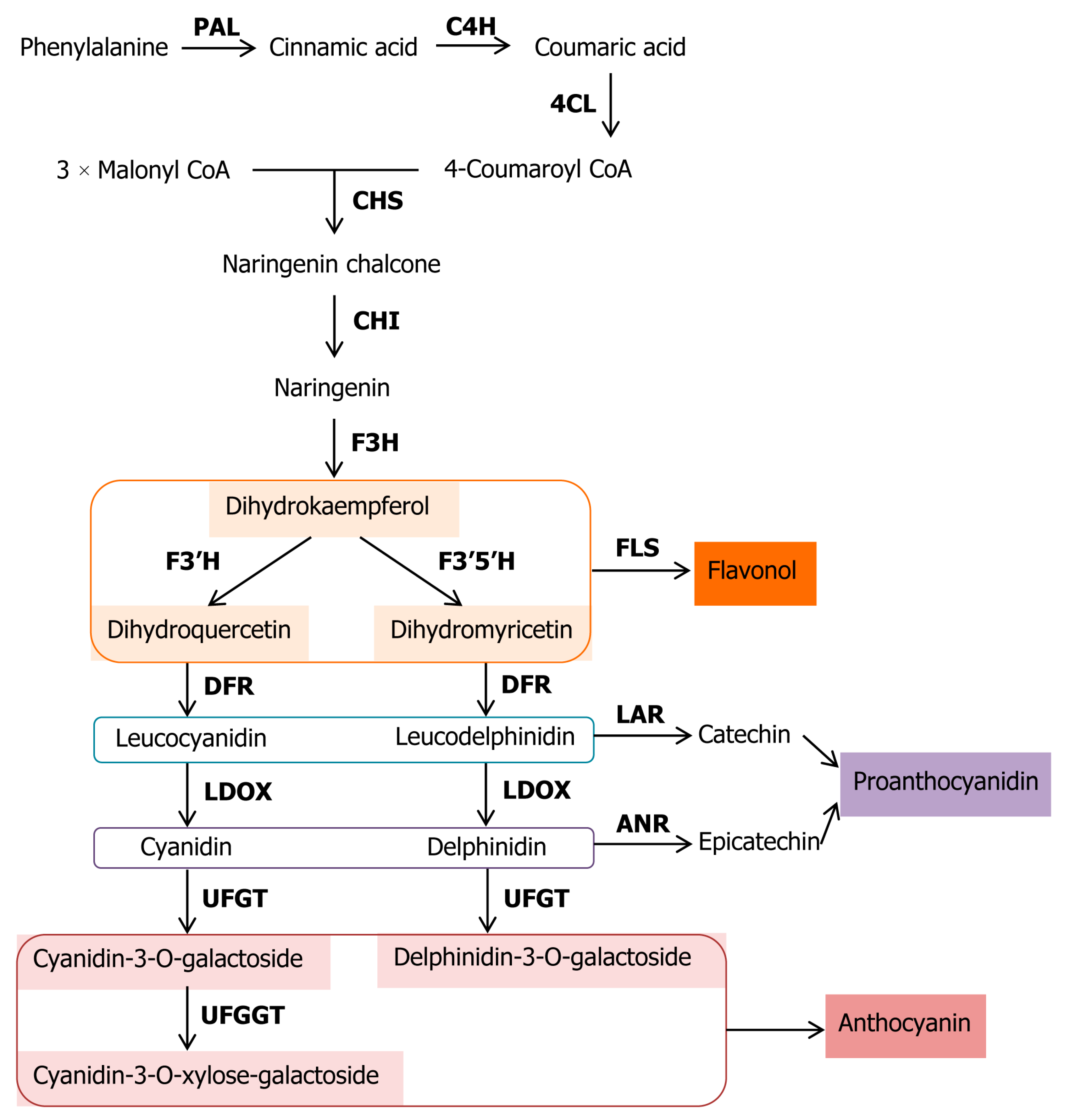 Genes 10 00949 g001 Genes 10 00949 g001