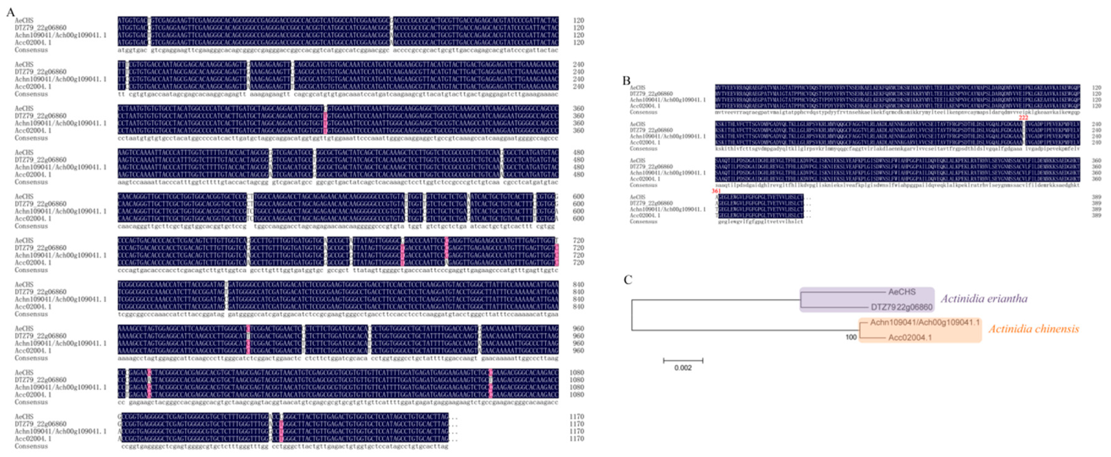 Genes 10 00949 g005 Genes 10 00949 g005