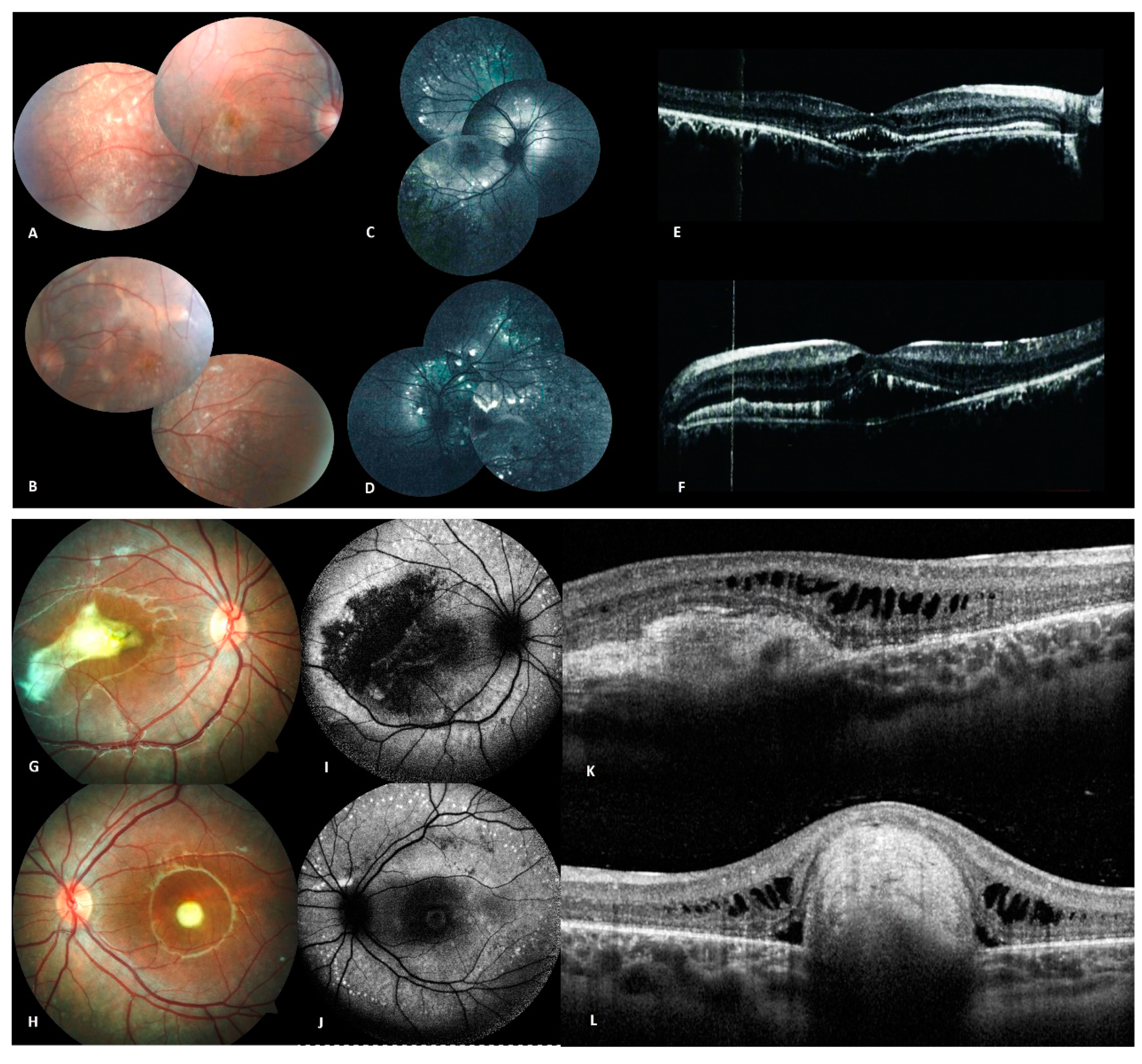 Genes 10 00953 g003 Genes 10 00953 g003