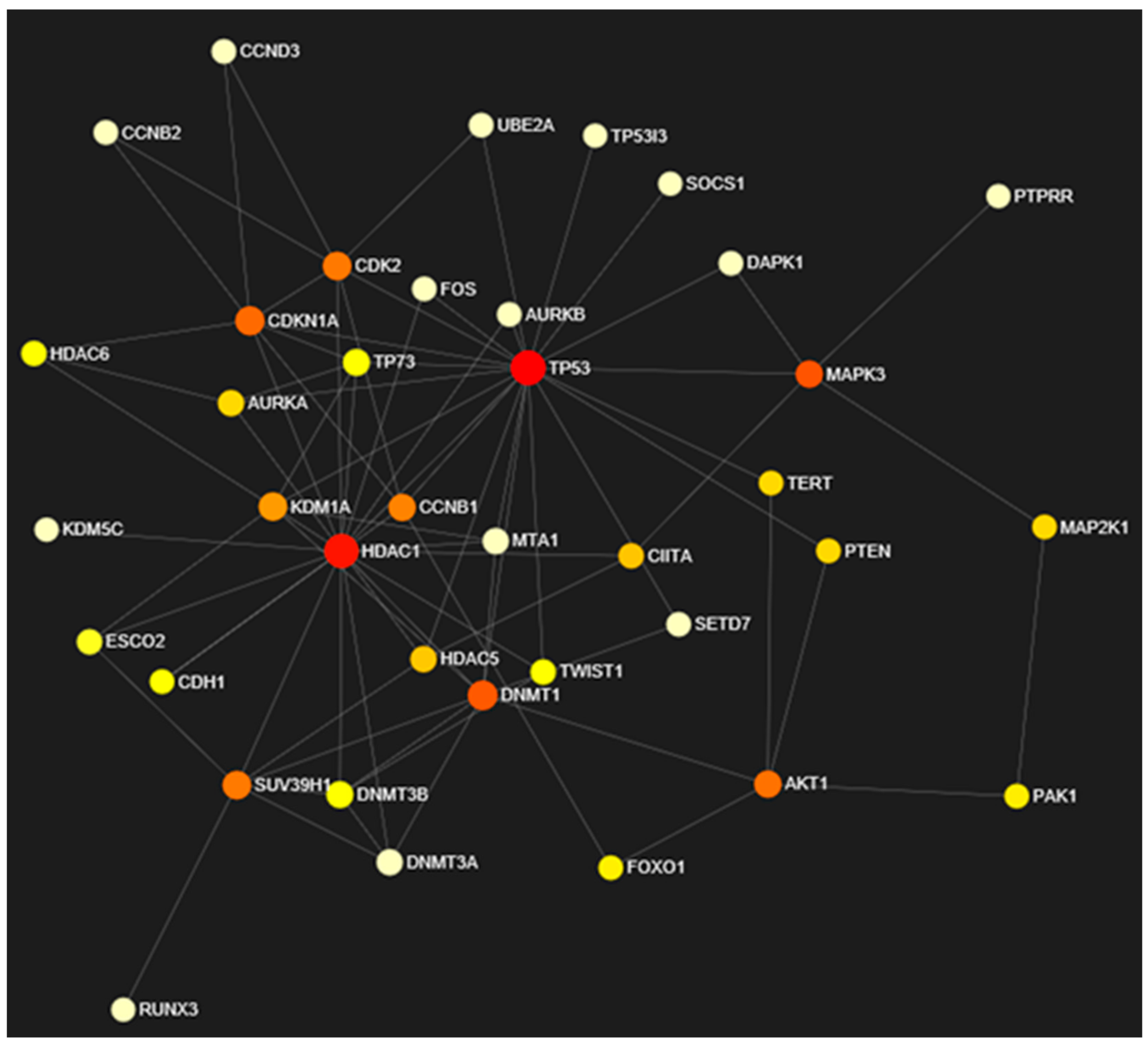 Genes 10 00955 g007 Genes 10 00955 g007