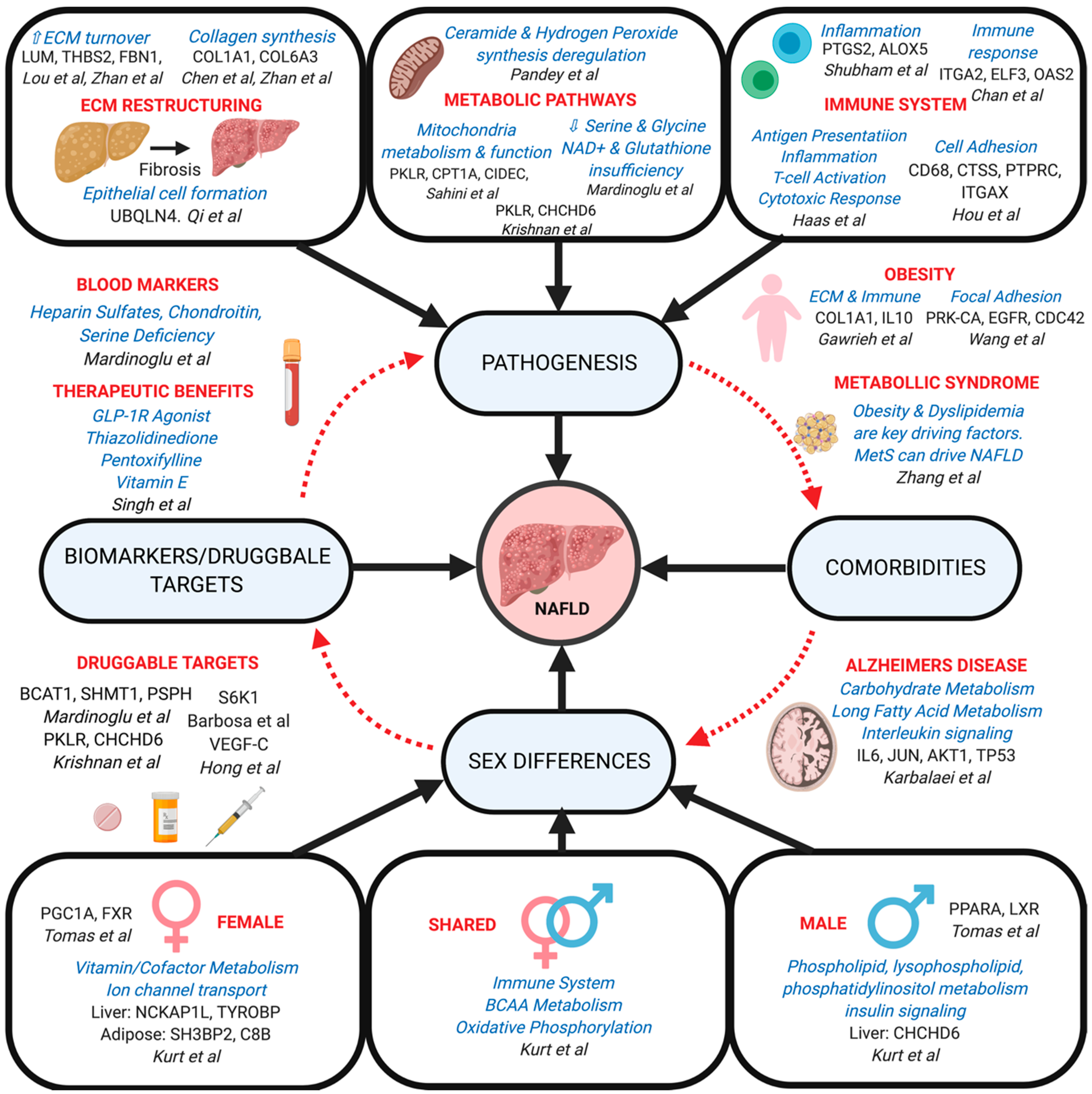 Genes 10 00966 g003 Genes 10 00966 g003