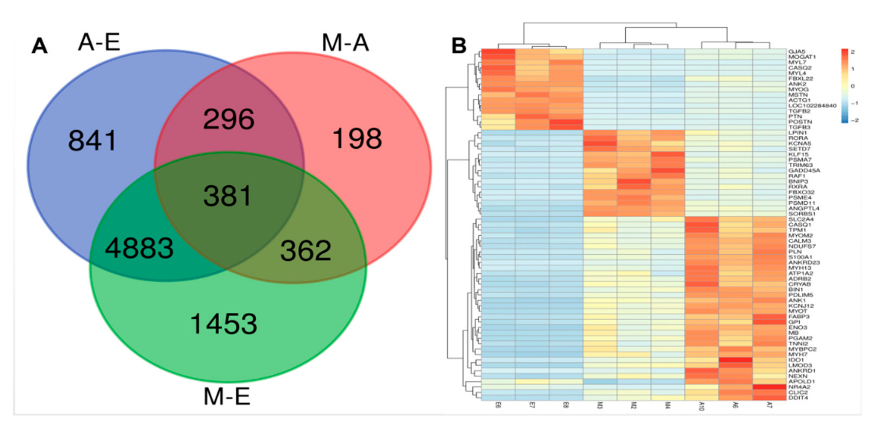 Genes 10 00970 g003 Genes 10 00970 g003