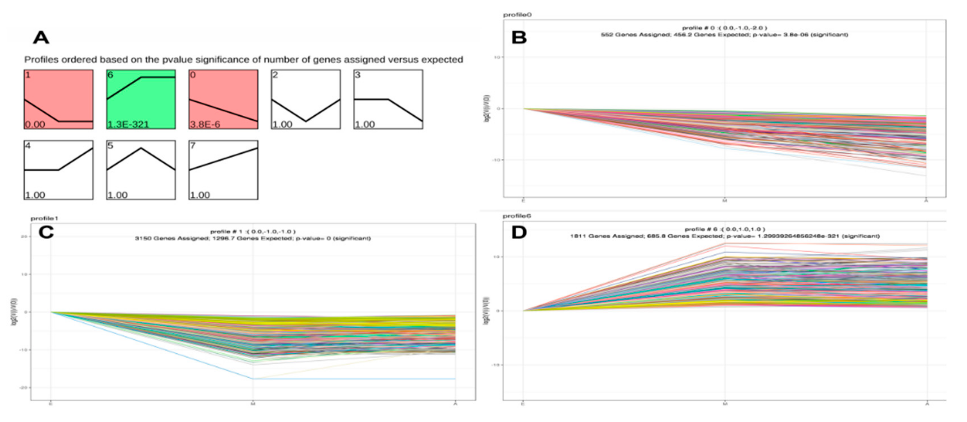 Genes 10 00970 g004 Genes 10 00970 g004