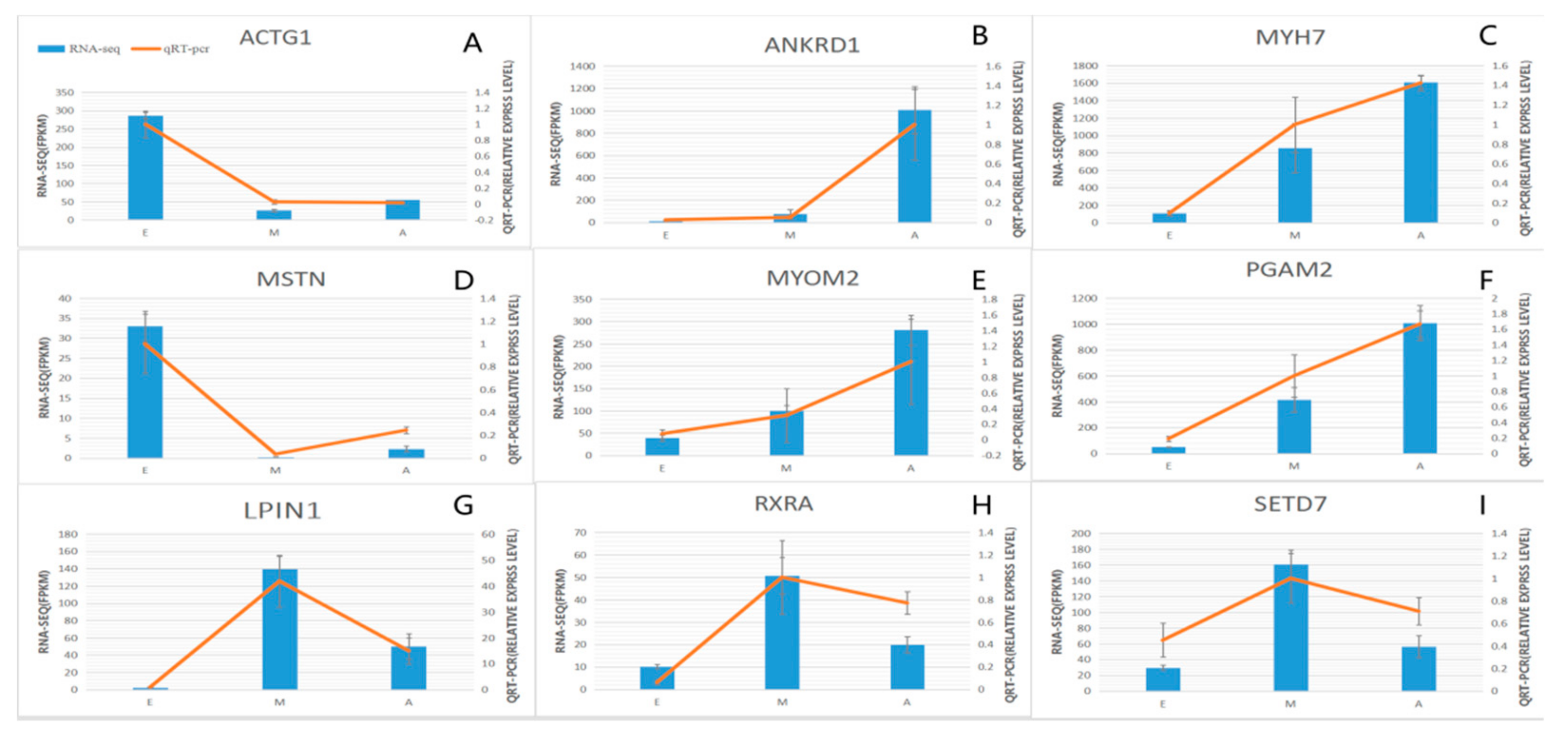 Genes 10 00970 g006 Genes 10 00970 g006